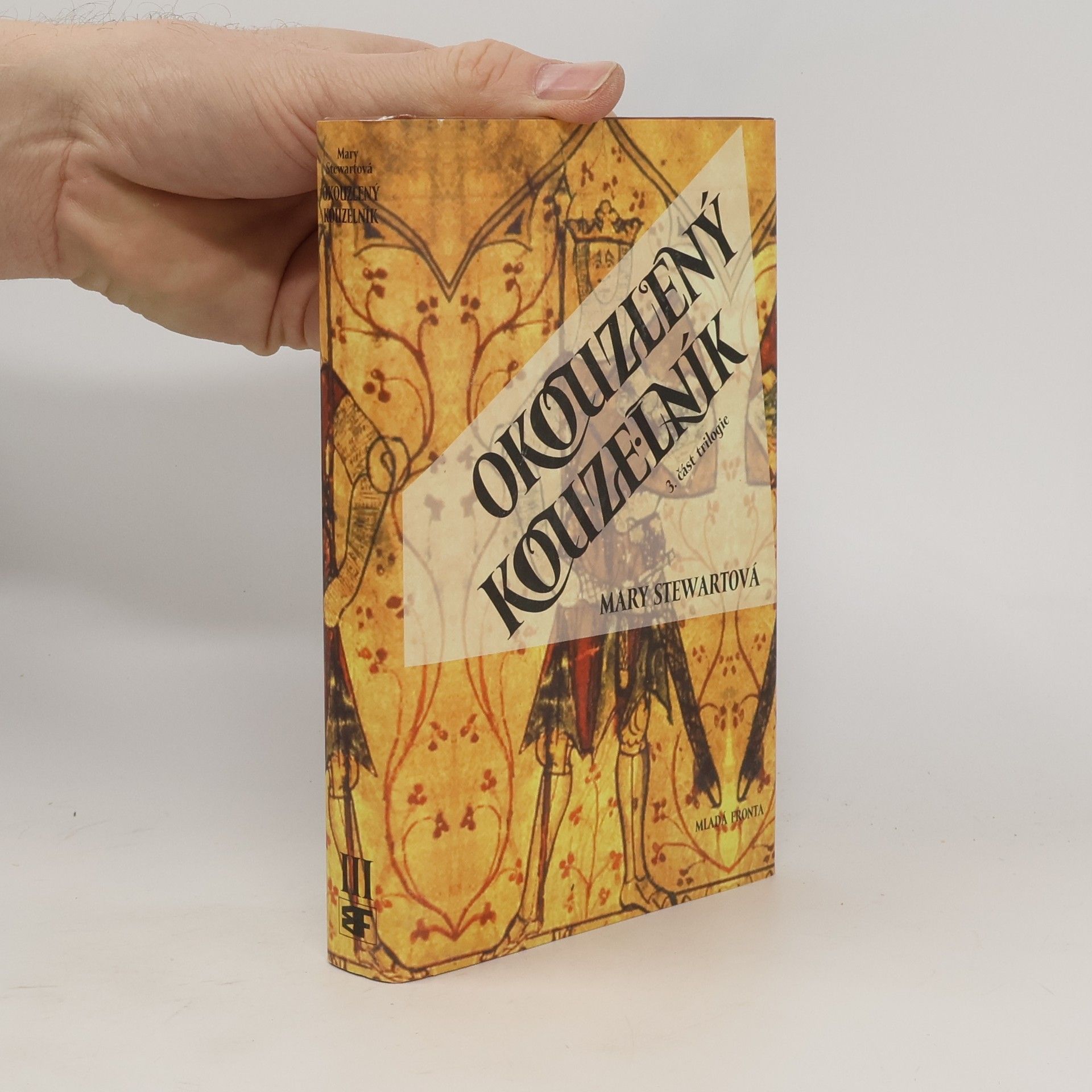 Okouzlený kouzelník