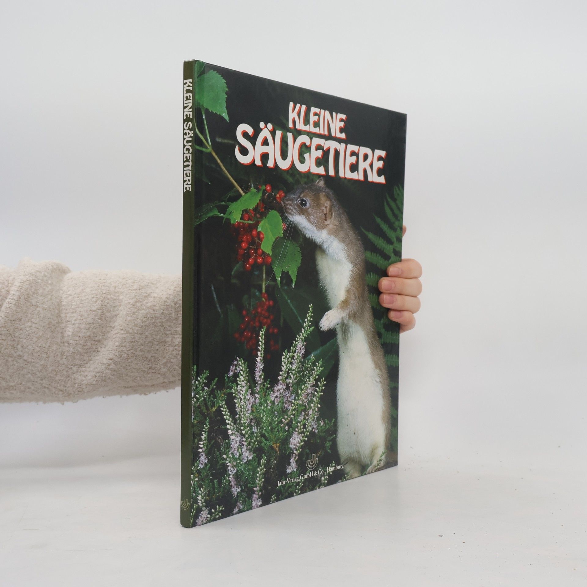 Linsay Knight Kleine Säugetiere