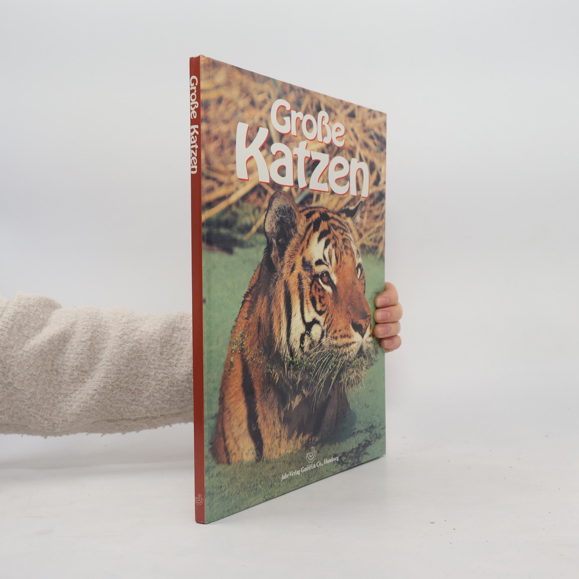 Grosse Katzen