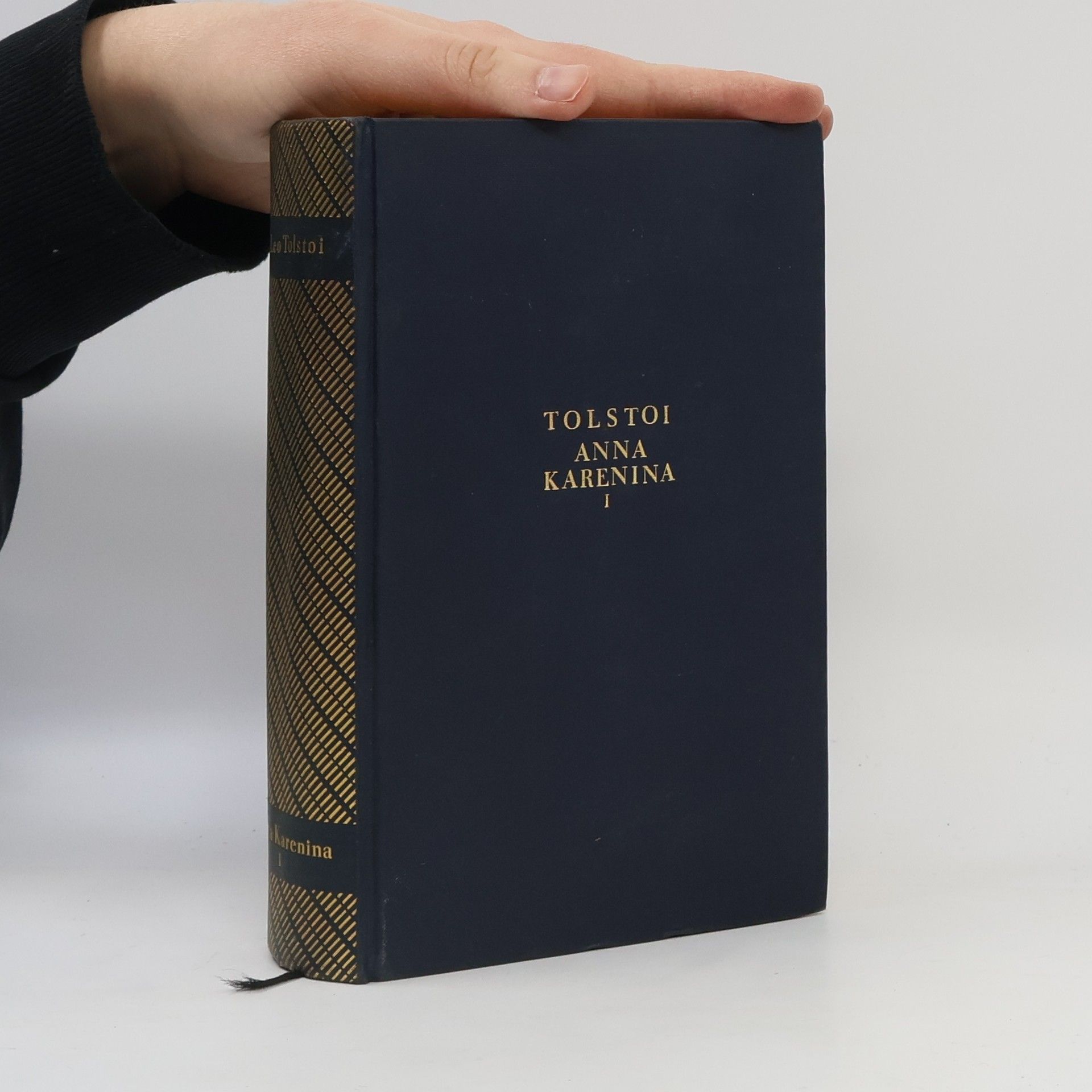 Lew Nikolajewitsch Tolstoi Anna Karenina I