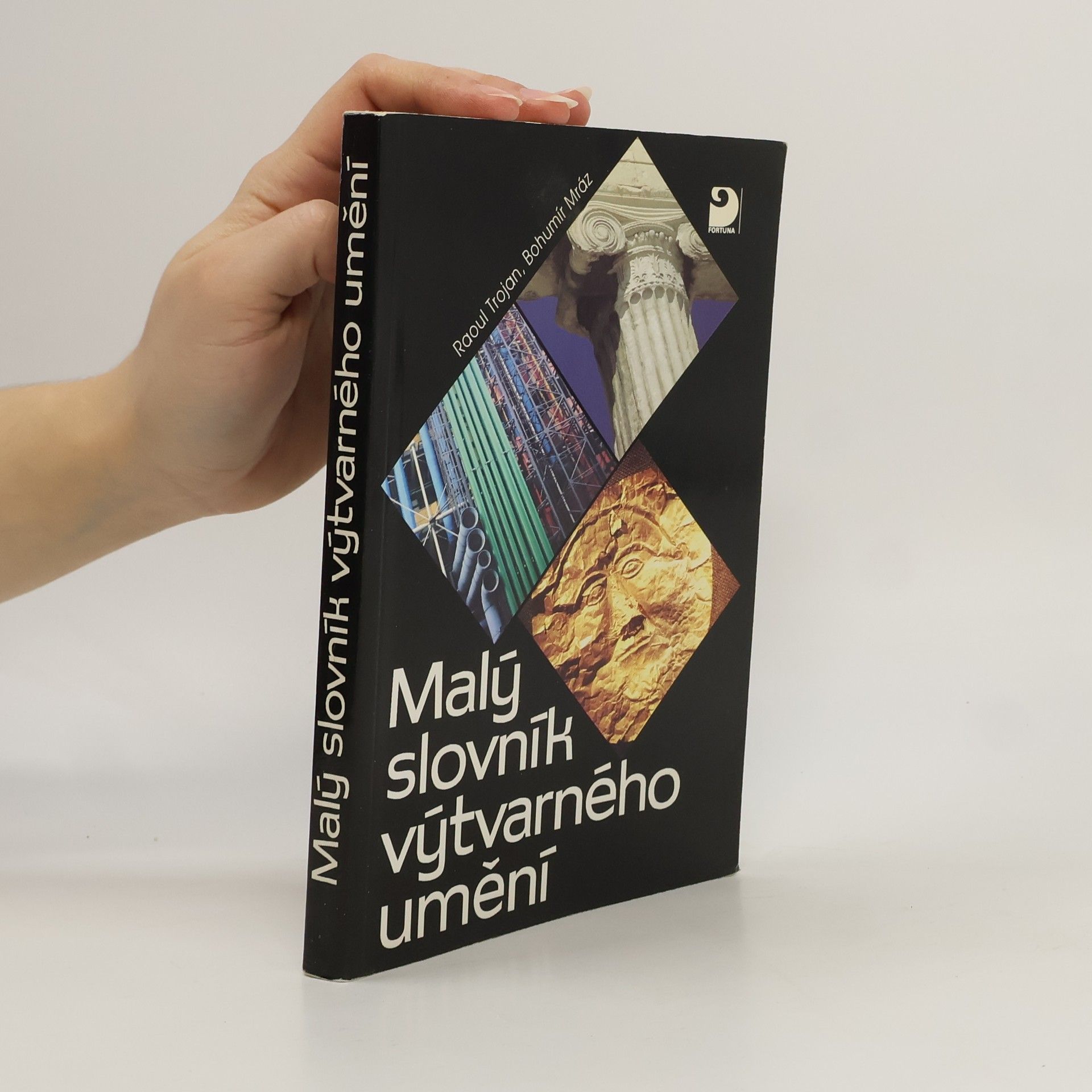 Raul Trojan Malý slovník výtvarného umění