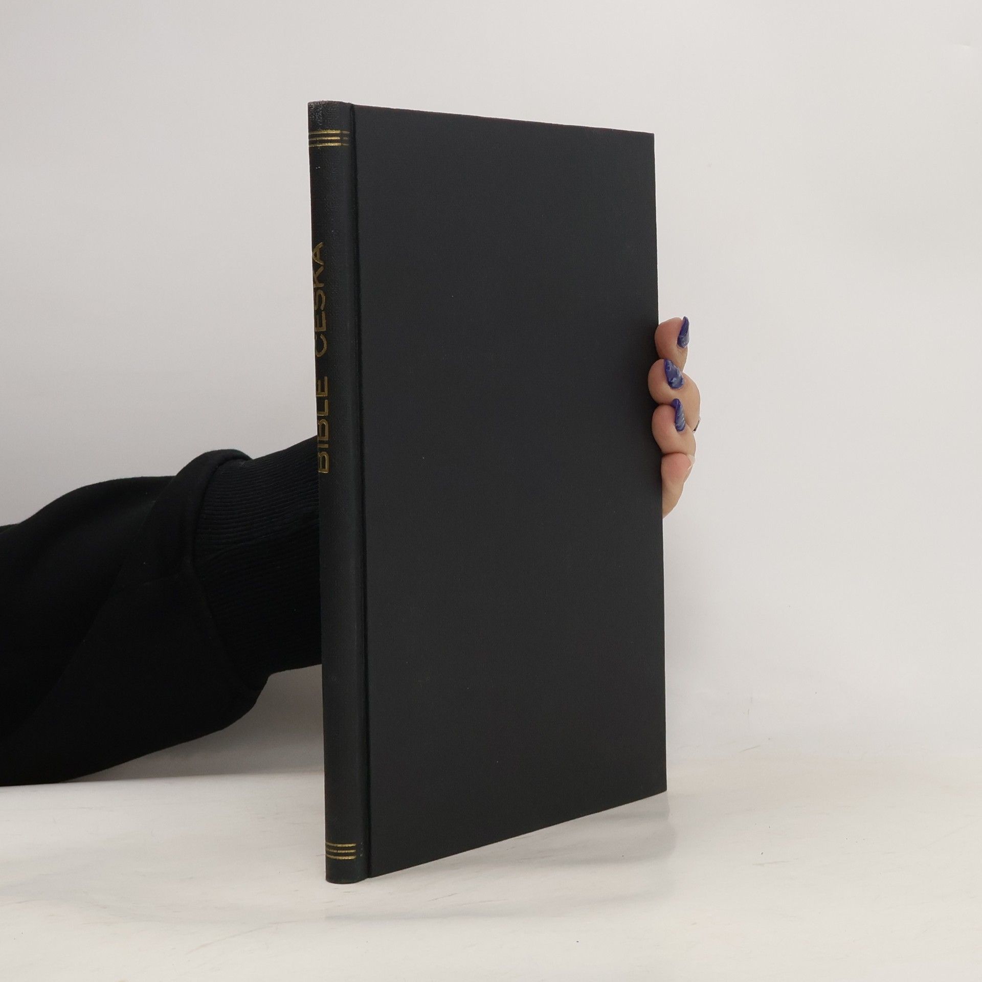 Jan Hejčl Bible česká