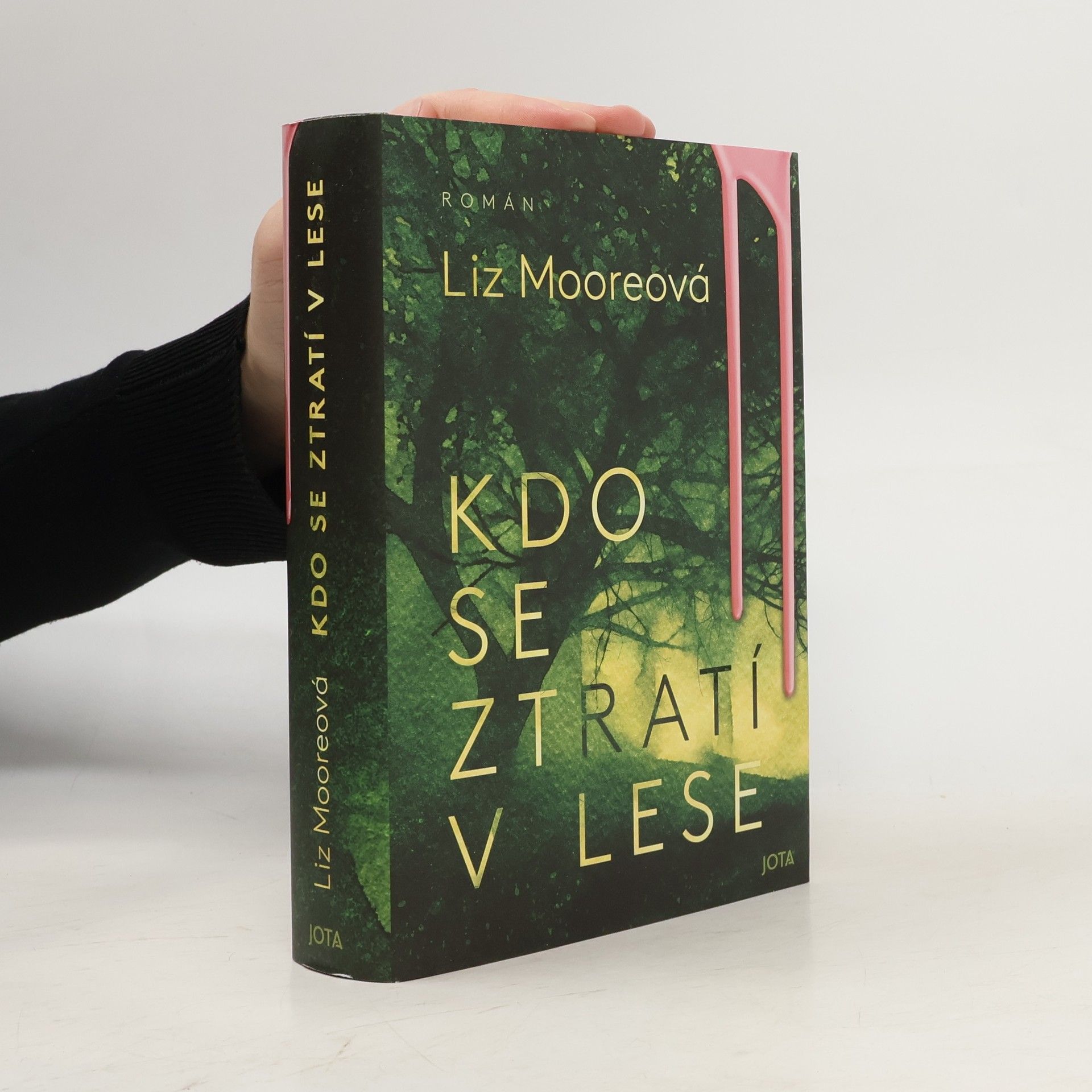 Liz Moore Kdo se ztratí v lese