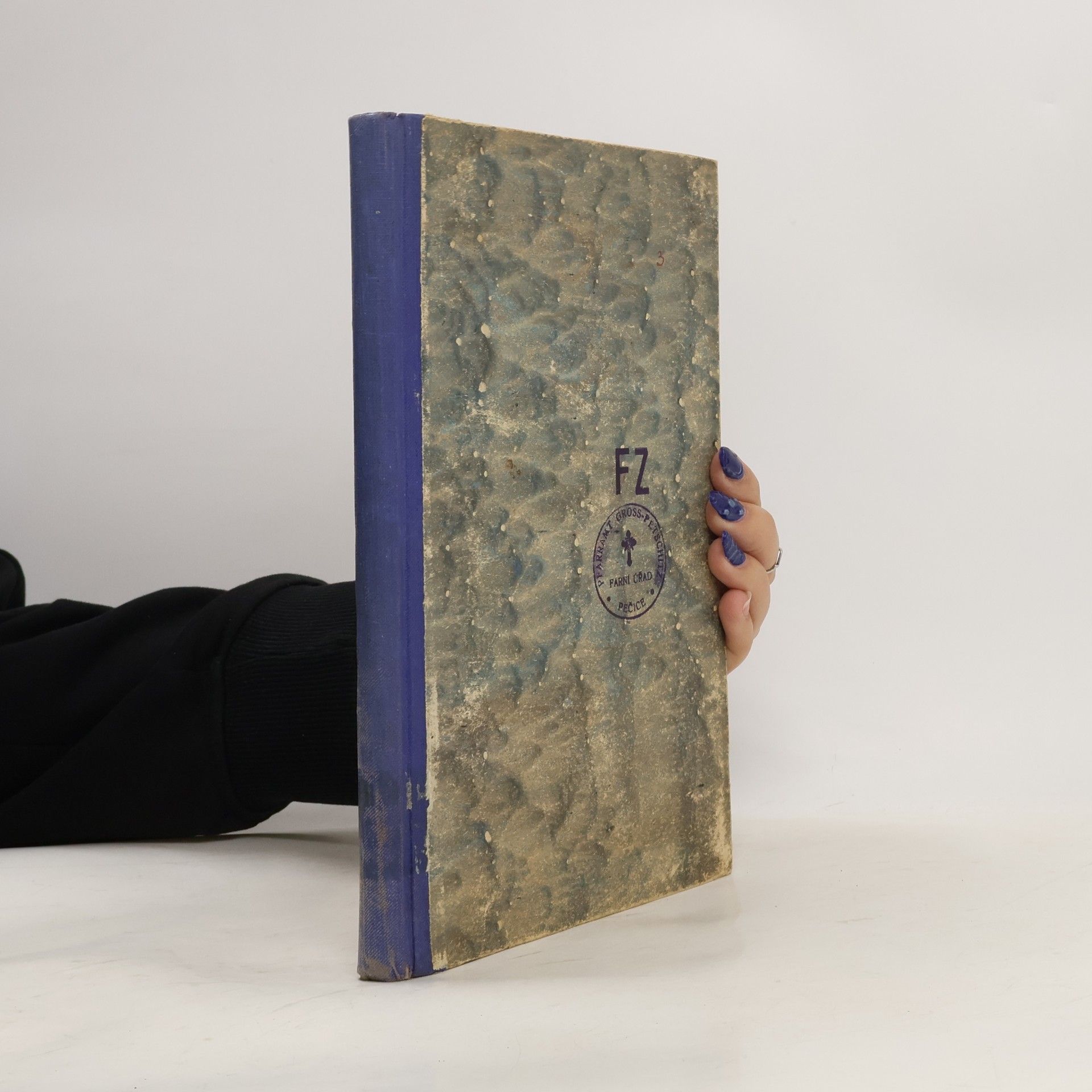 AA.VV. První a druhá kniha královská