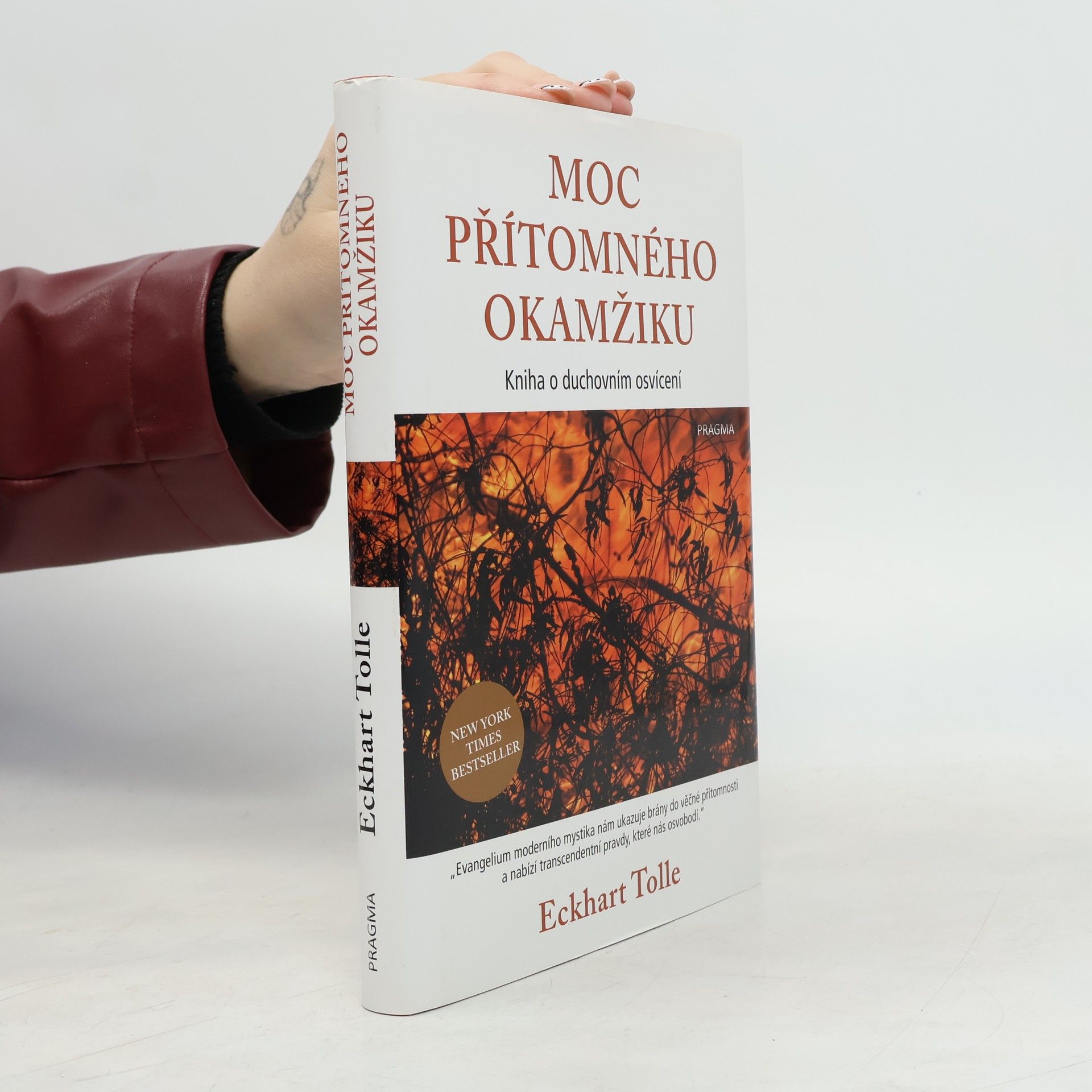 Eckhart Tolle Moc přítomného okamžiku