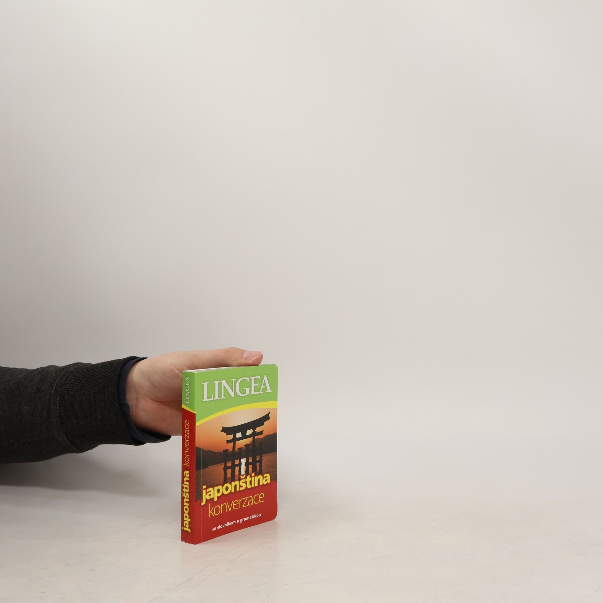 Collectif d'auteurs Japonština : konverzace