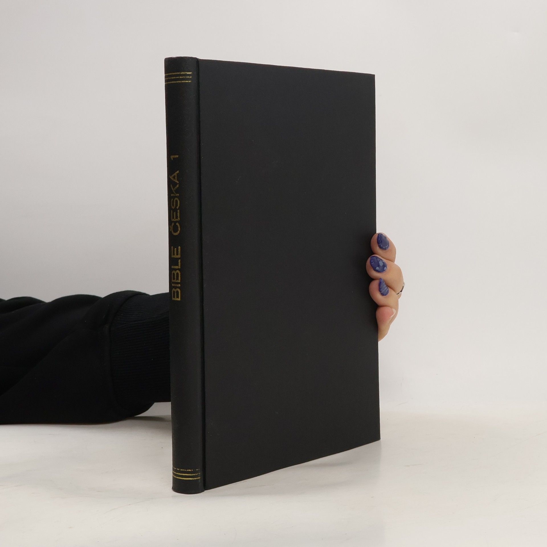 Jan Hejčl Bible česká