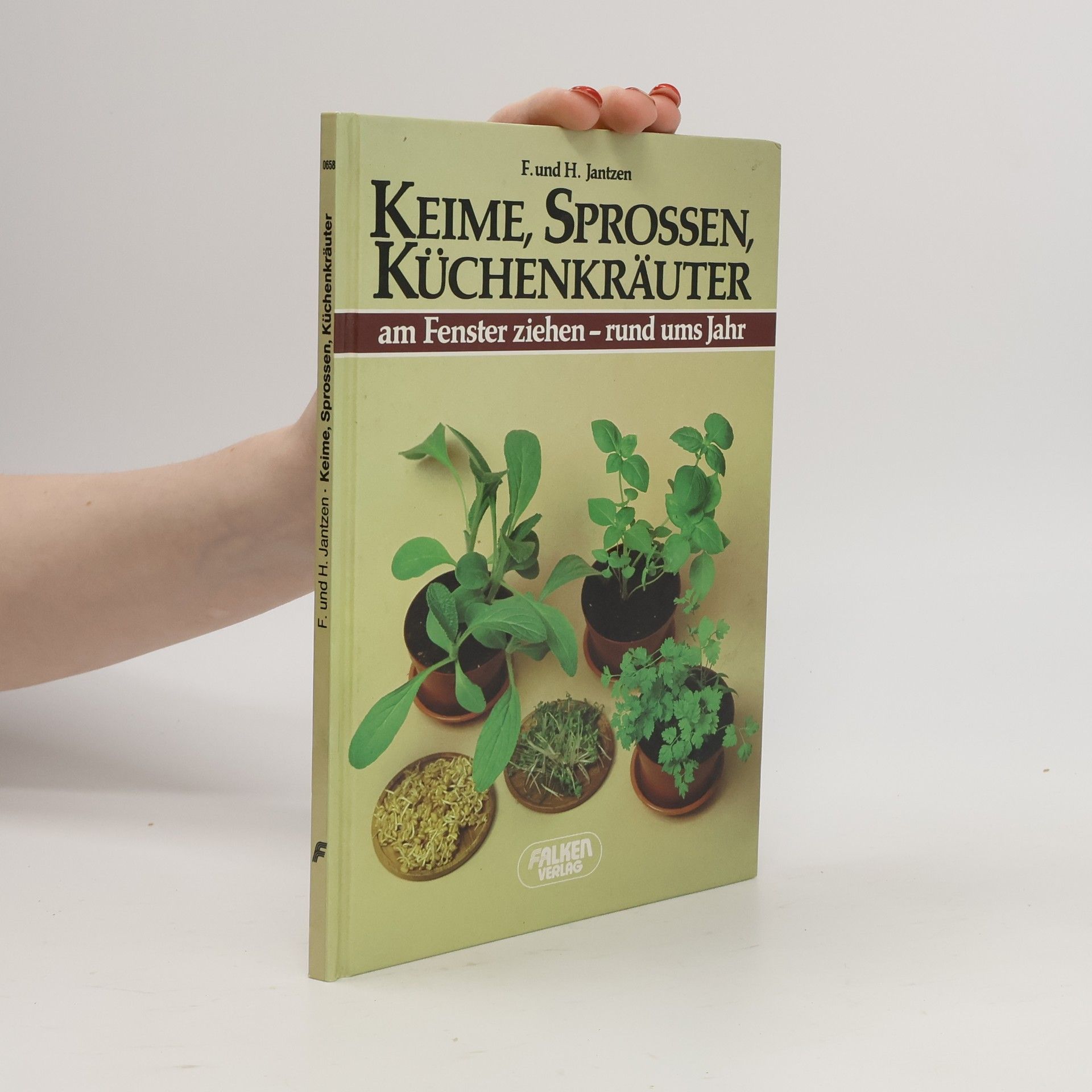 Friedrich Jantzen Keime, Sprossen, Küchenkräuter am Fenster ziehen - rund ums Jahr