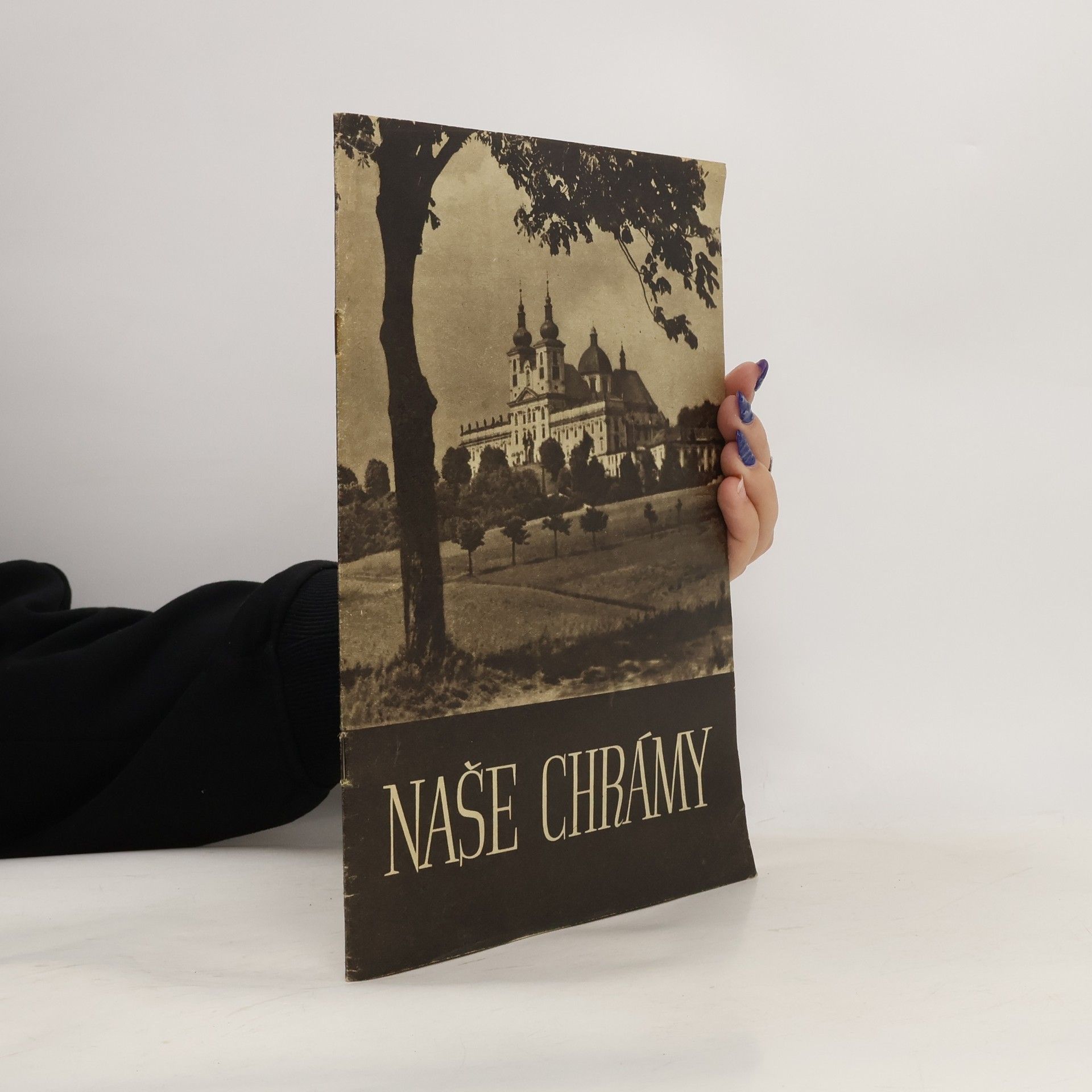 Josef Beneš (kněz) Naše chrámy