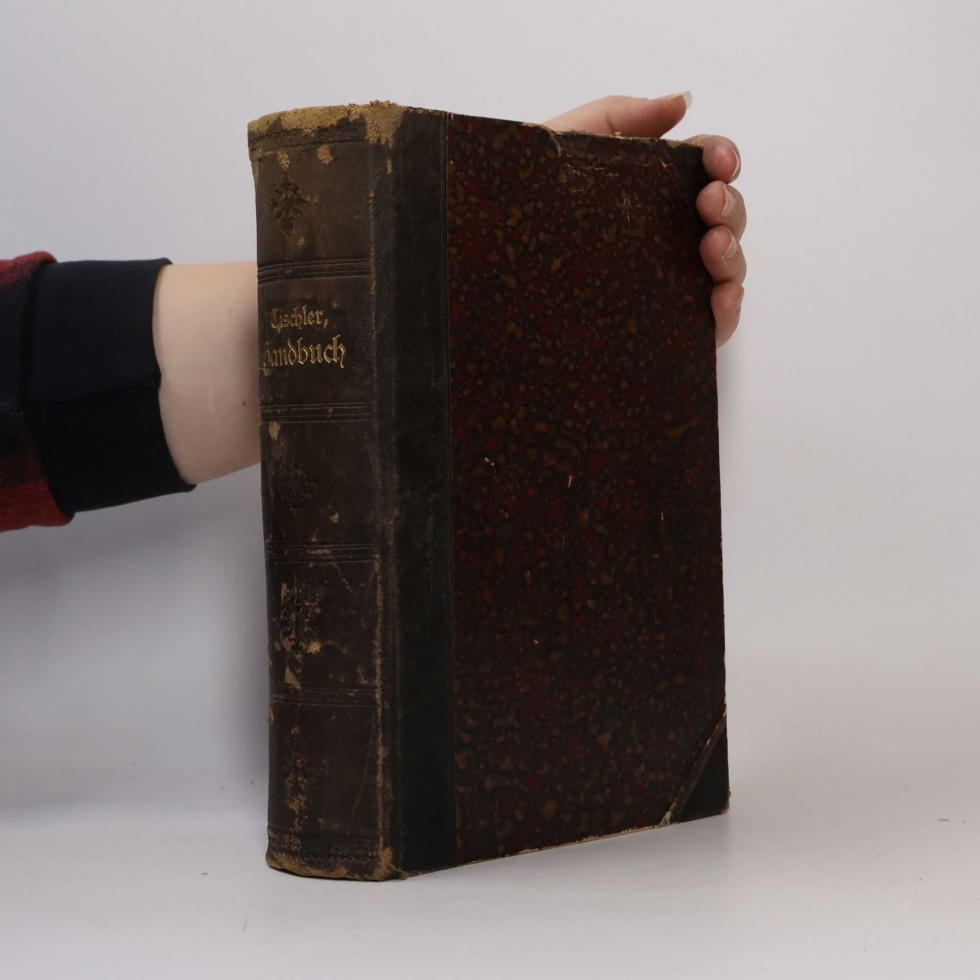 Franz Seraphicus Tischler Handbuch zur Leitung des Dritten Ordens des heiligen Franziskus