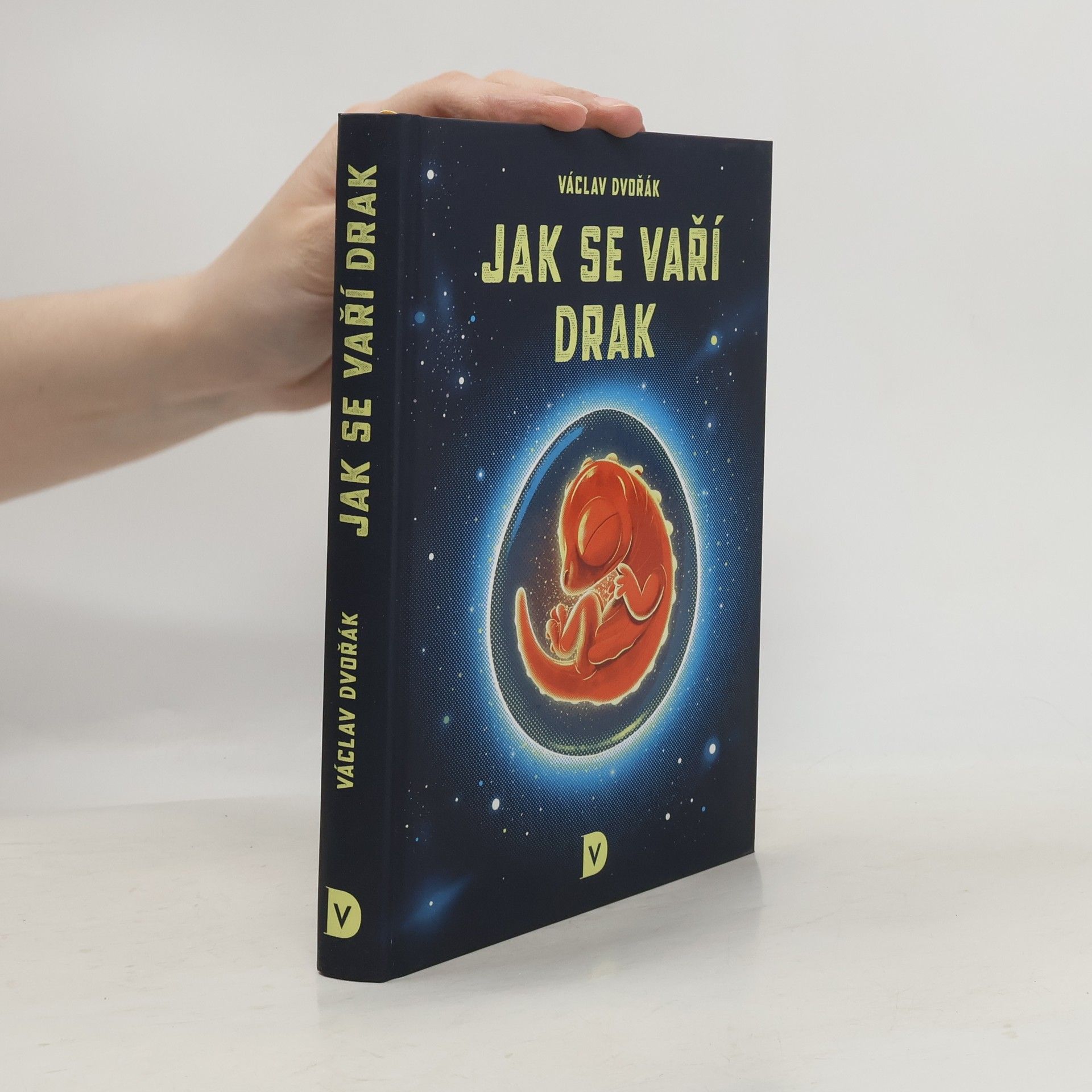 Václav Dvořák Jak se vaří drak