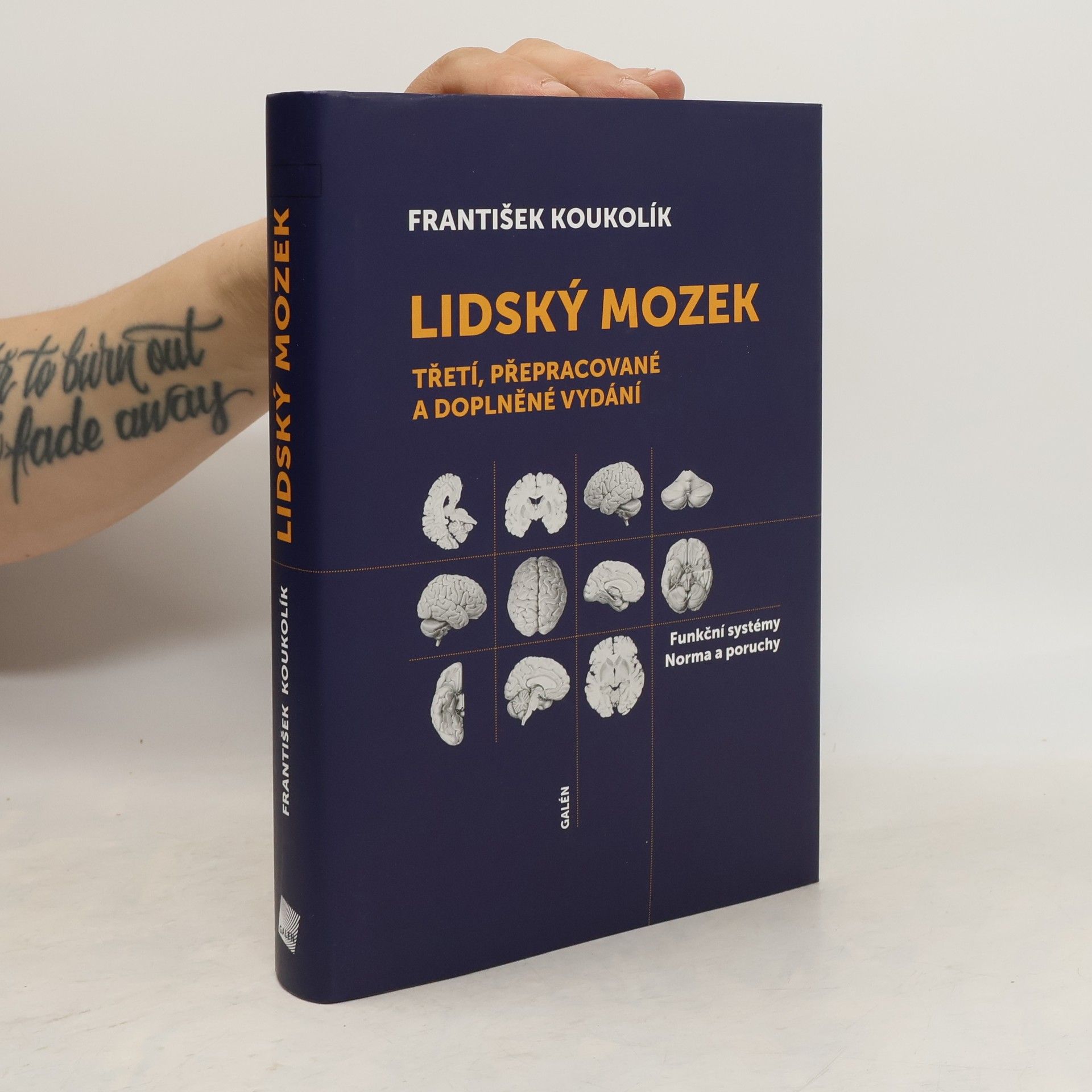 František Koukolík Lidský mozek
