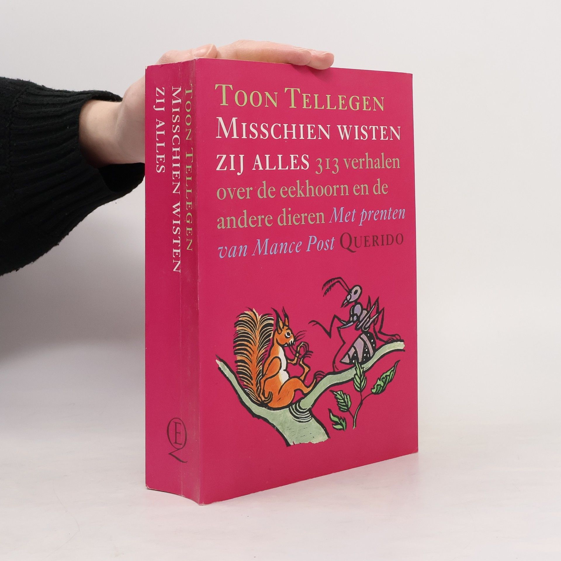 Toon Tellegen Misschien wisten zij alles