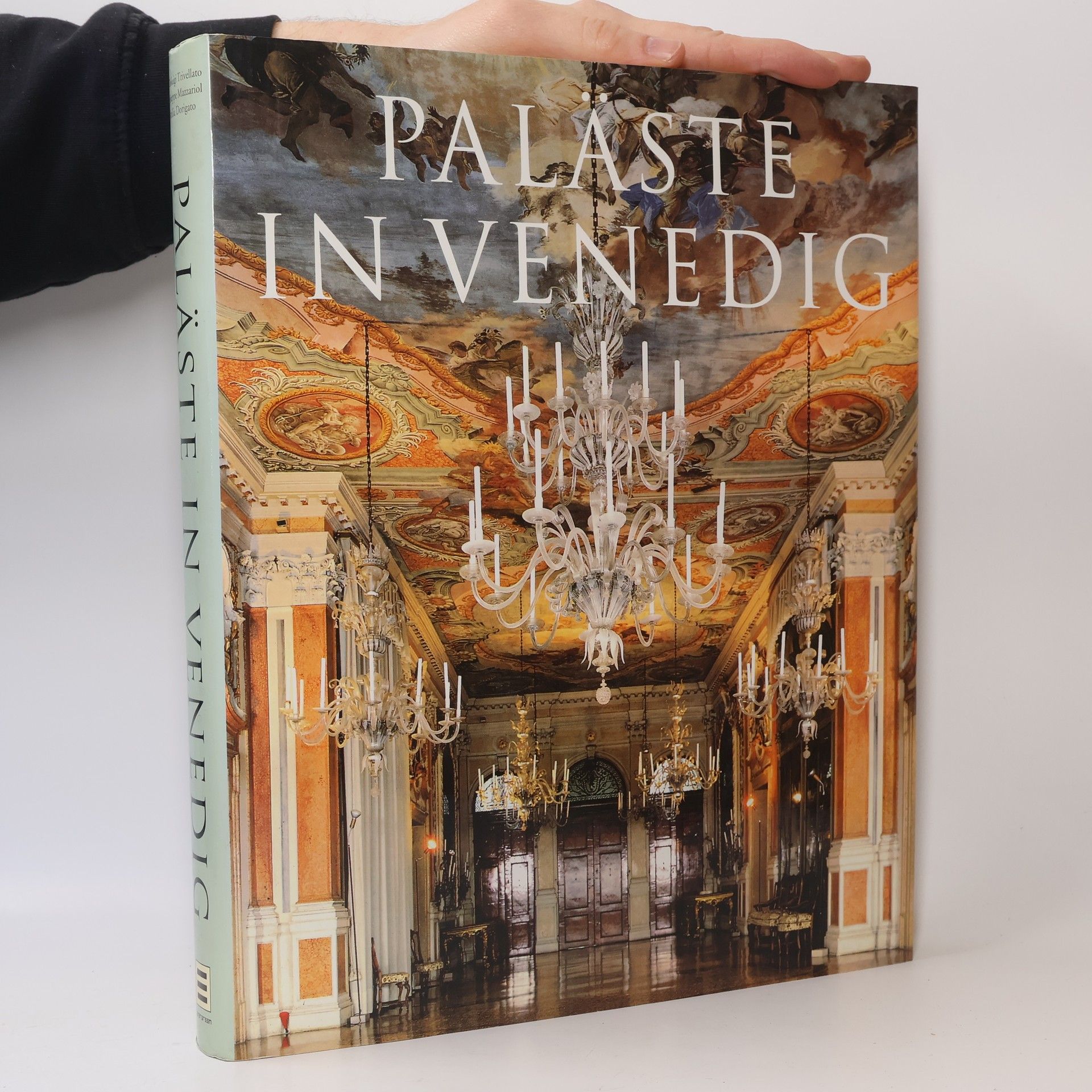 Gianluigi Trivellato Venetian Palazzi