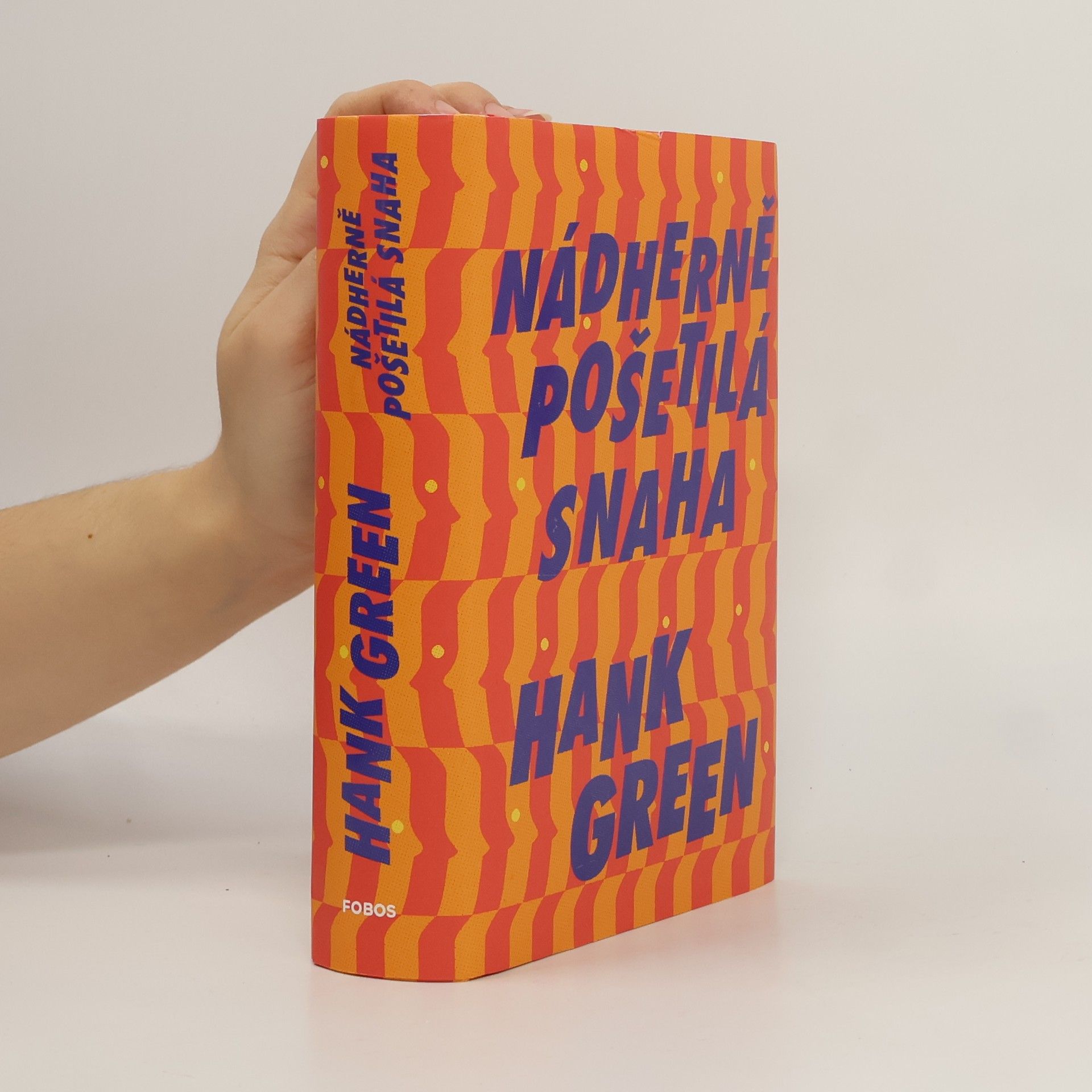 Hank Green Nádherně pošetilá snaha