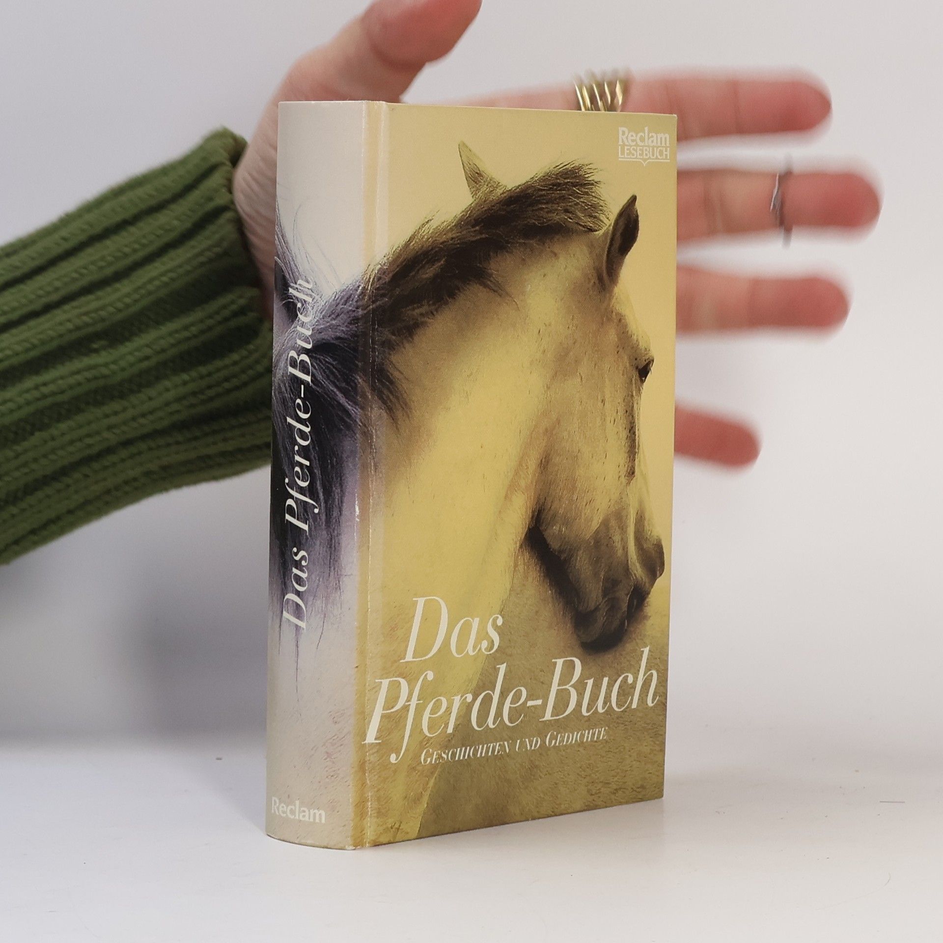Evelyne Polt-Heinzl Das Pferde-Buch