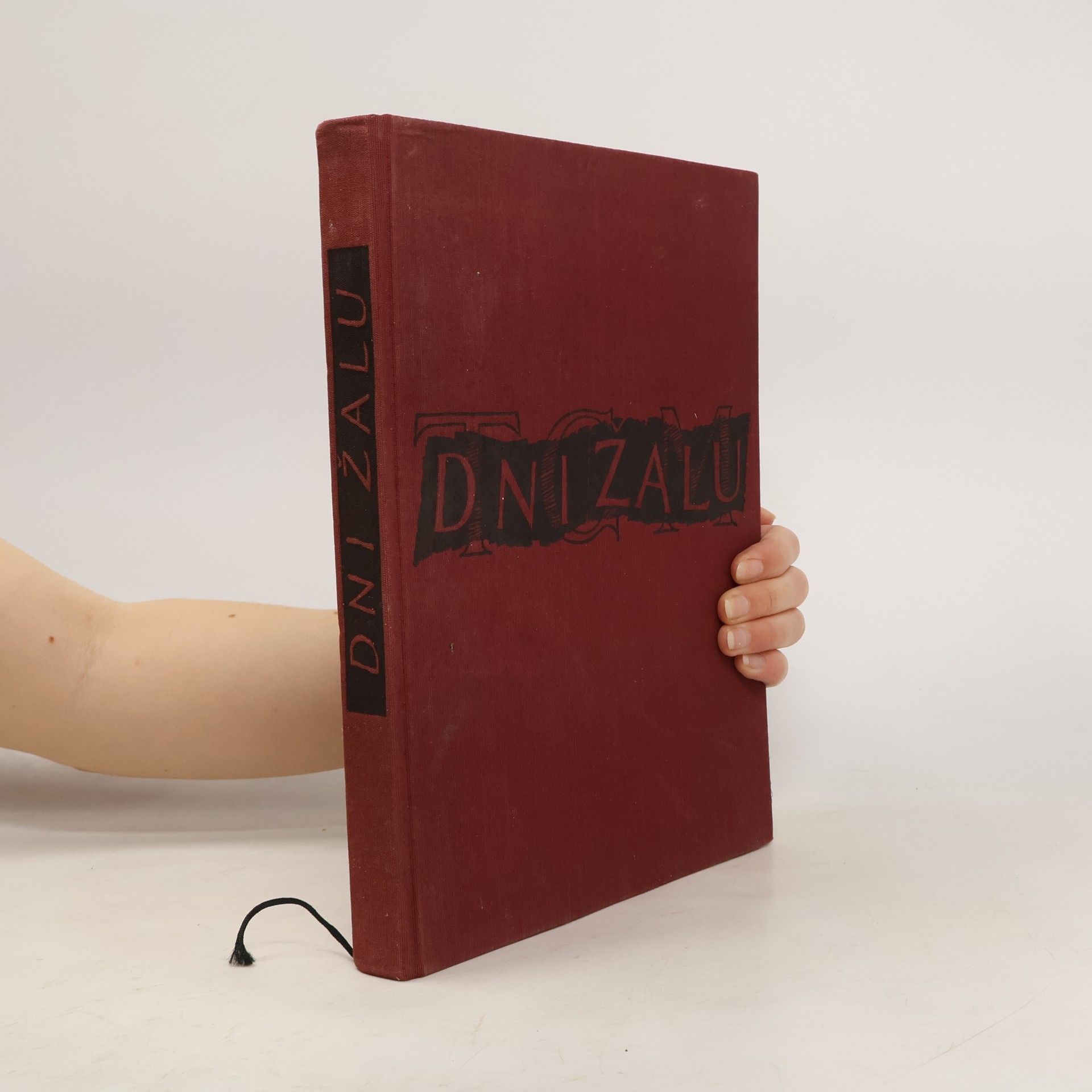 Karel Čapek Dni žalu