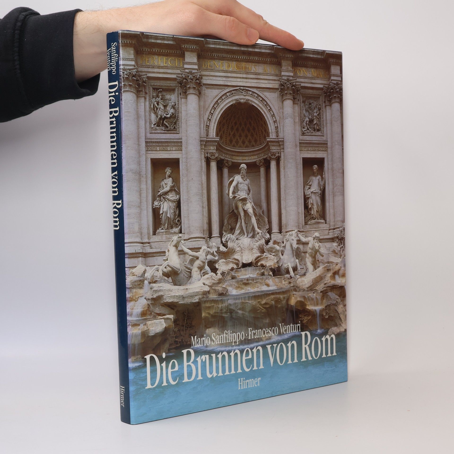 Mario Sanfilippo Die Brunnen von Rom