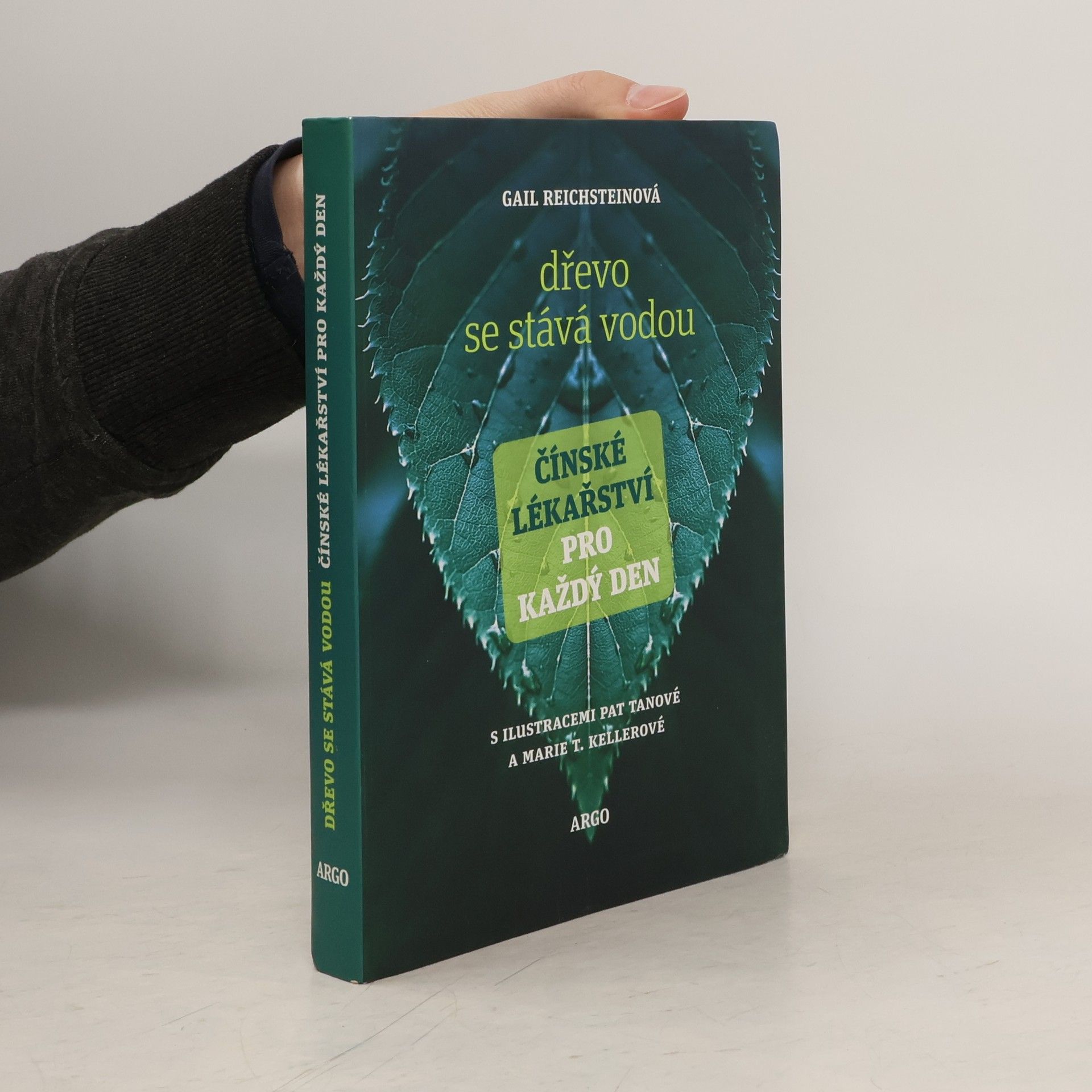 Gail Reichstein Dřevo se stává vodou