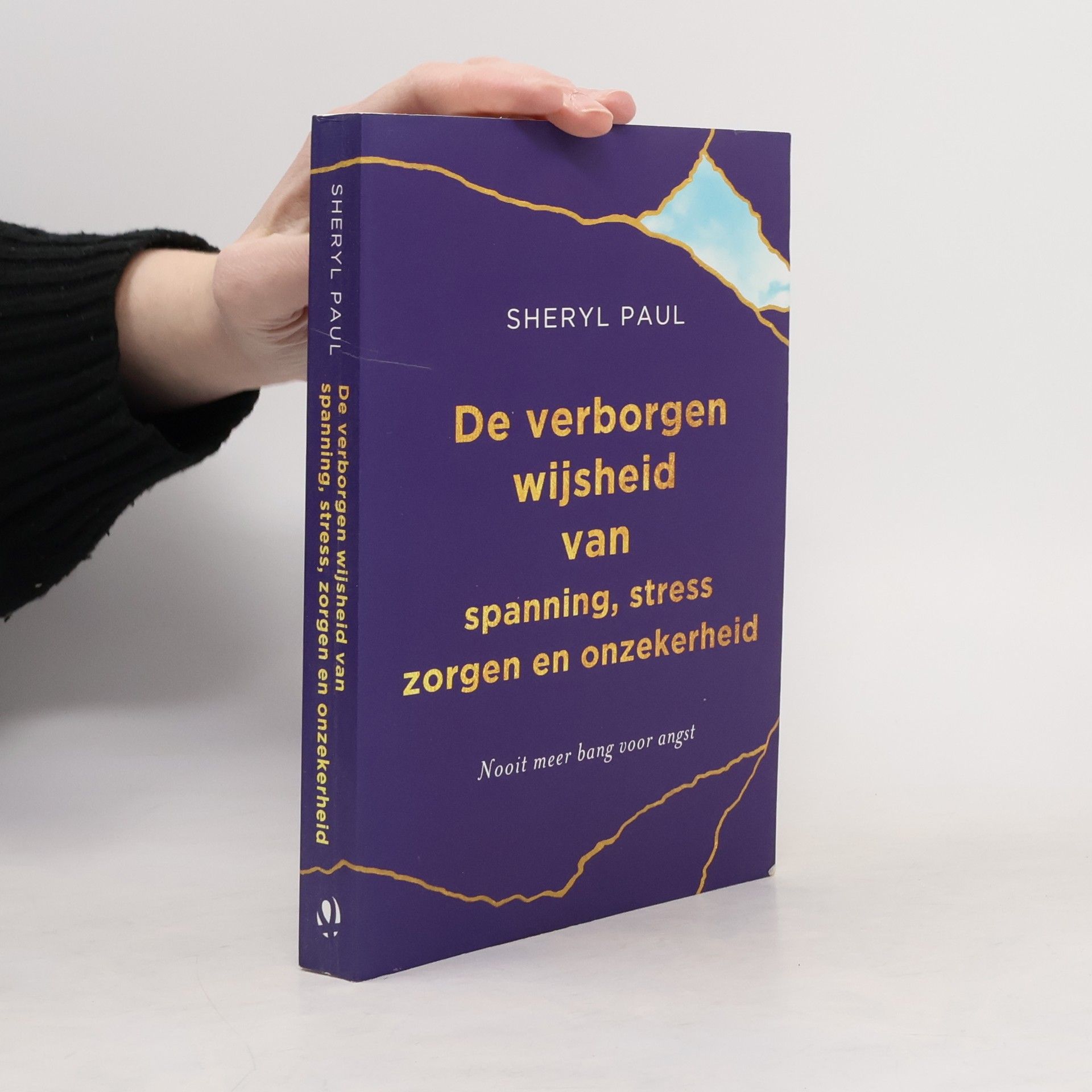 Sheryl Paul De verborgen wijsheid van spanning, stress, zorgen en onzekerheid
