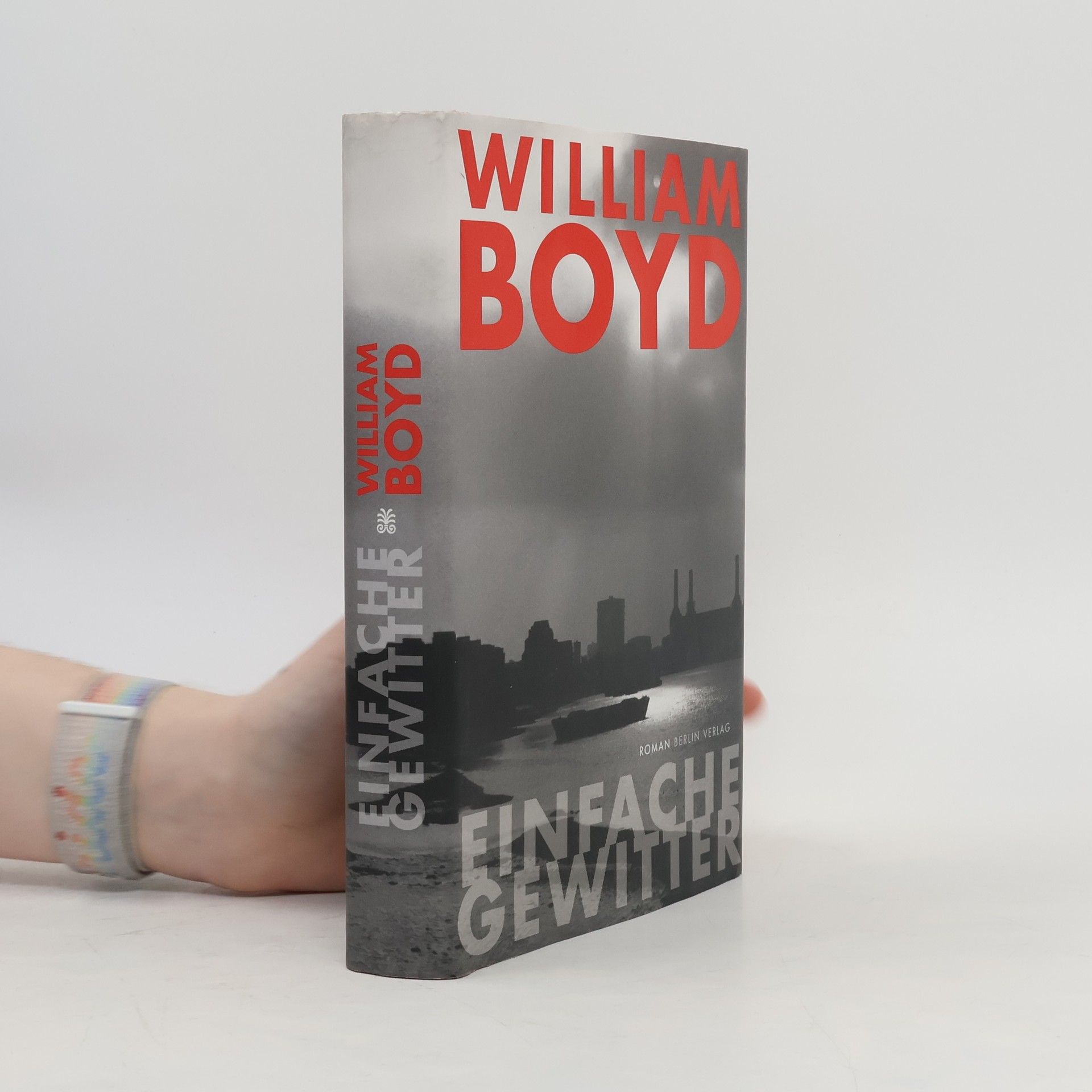 William Boyd Einfache Gewitter