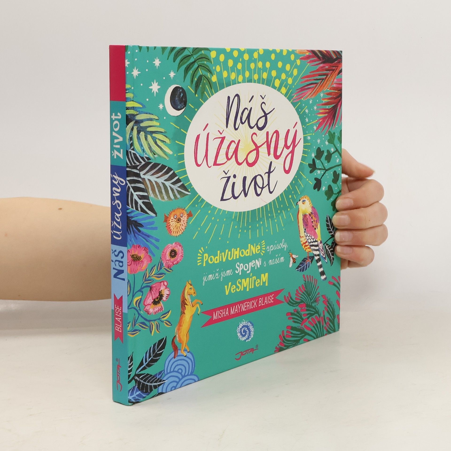 Misha Maynerick Blaise Náš úžasný život