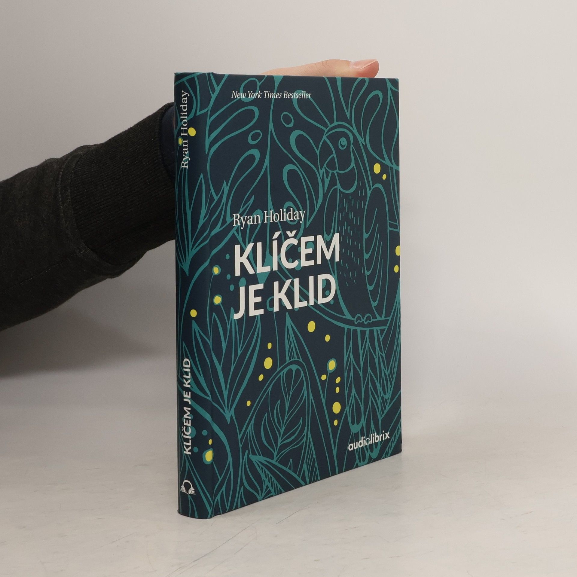 Ryan Holiday Klíčem je klid