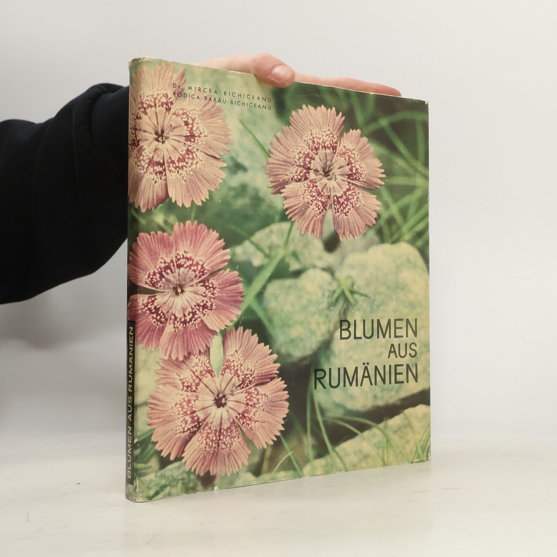 Rodica Rarău-Bichiceanu Blumen aus Rumänien