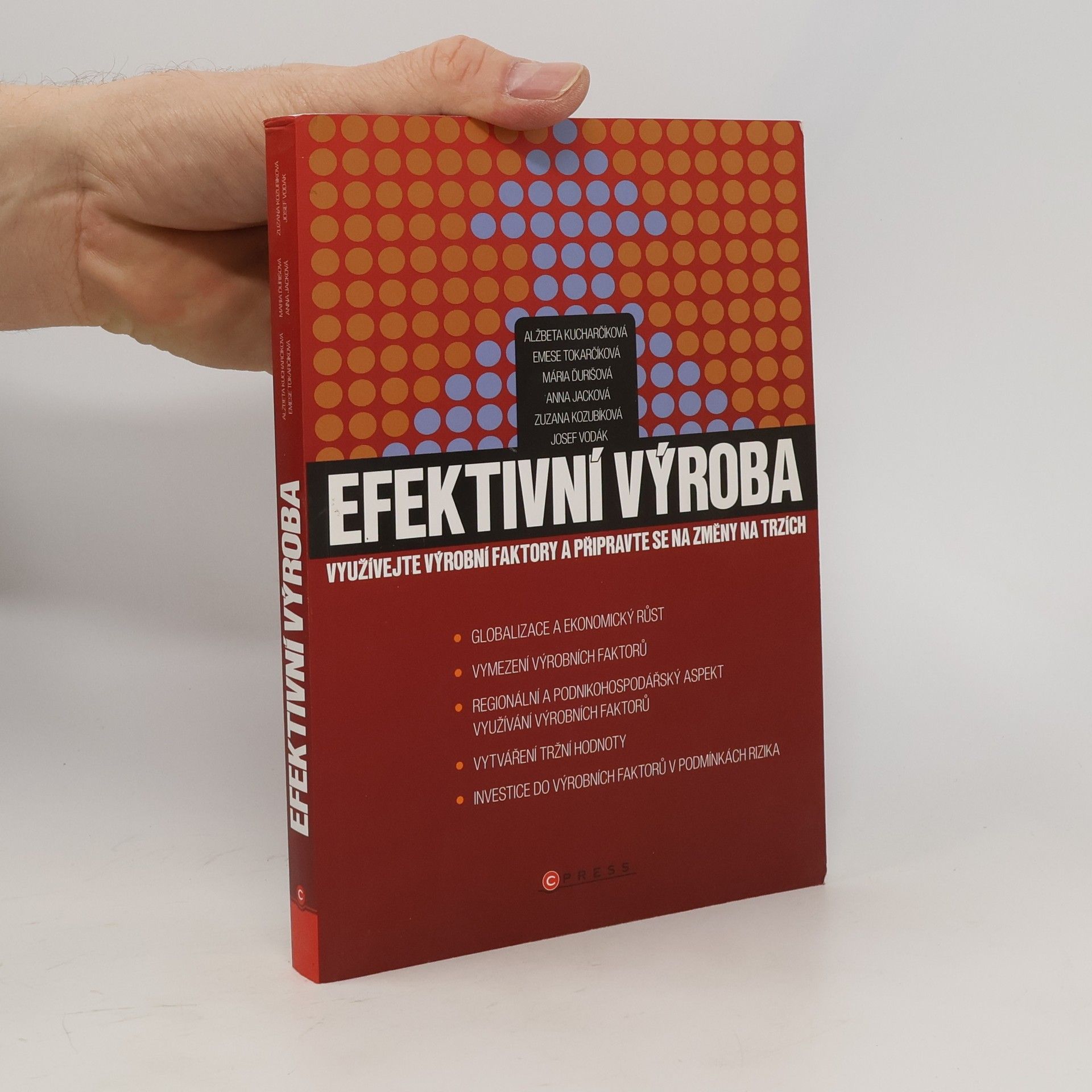 Autorenkollektiv Efektivní výroba : využívejte výrobní faktory a připravte se na změny na trzích