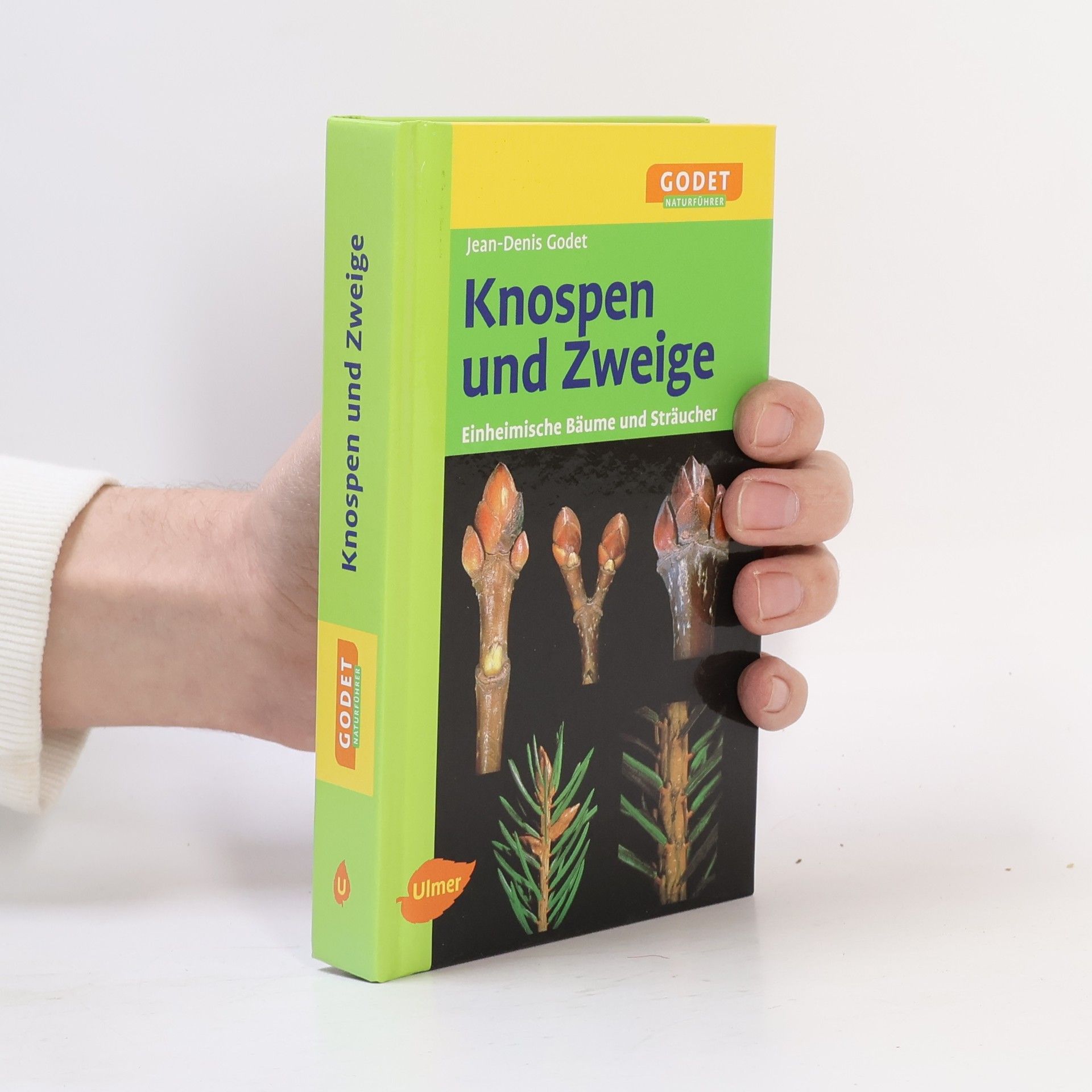 Jean Denis Godet Knospen und Zweige