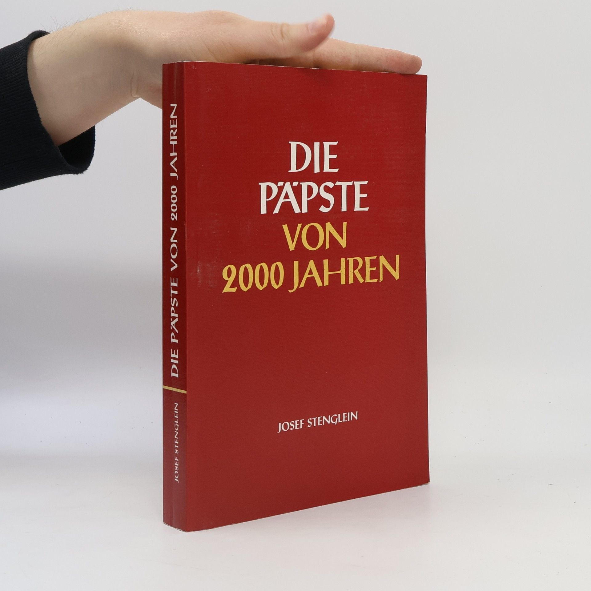 Josef Stenglein Die Päpste von 2000 Jahren