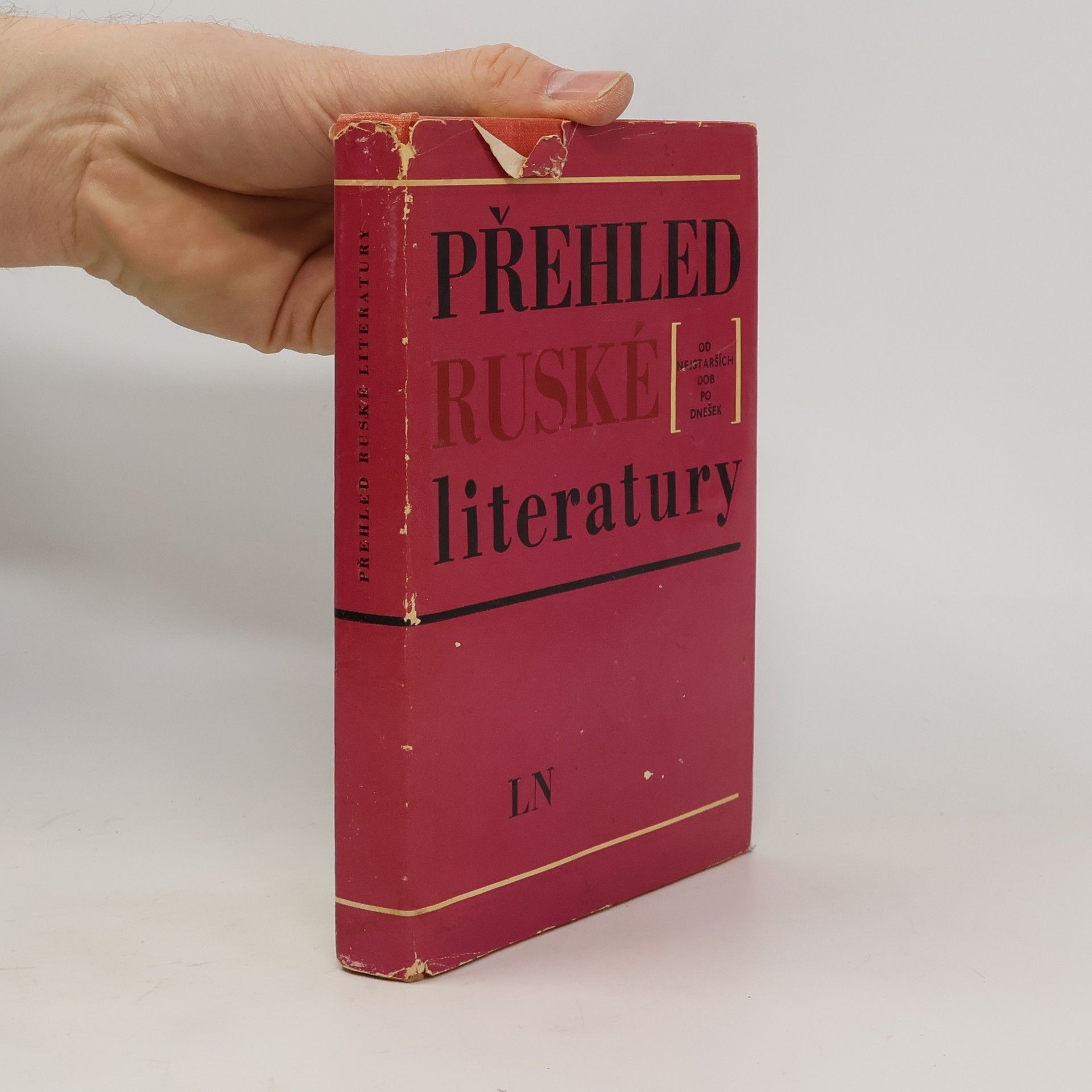 Autorenkollektiv Přehled ruské literatury. Od nejstarších dob po dnešek