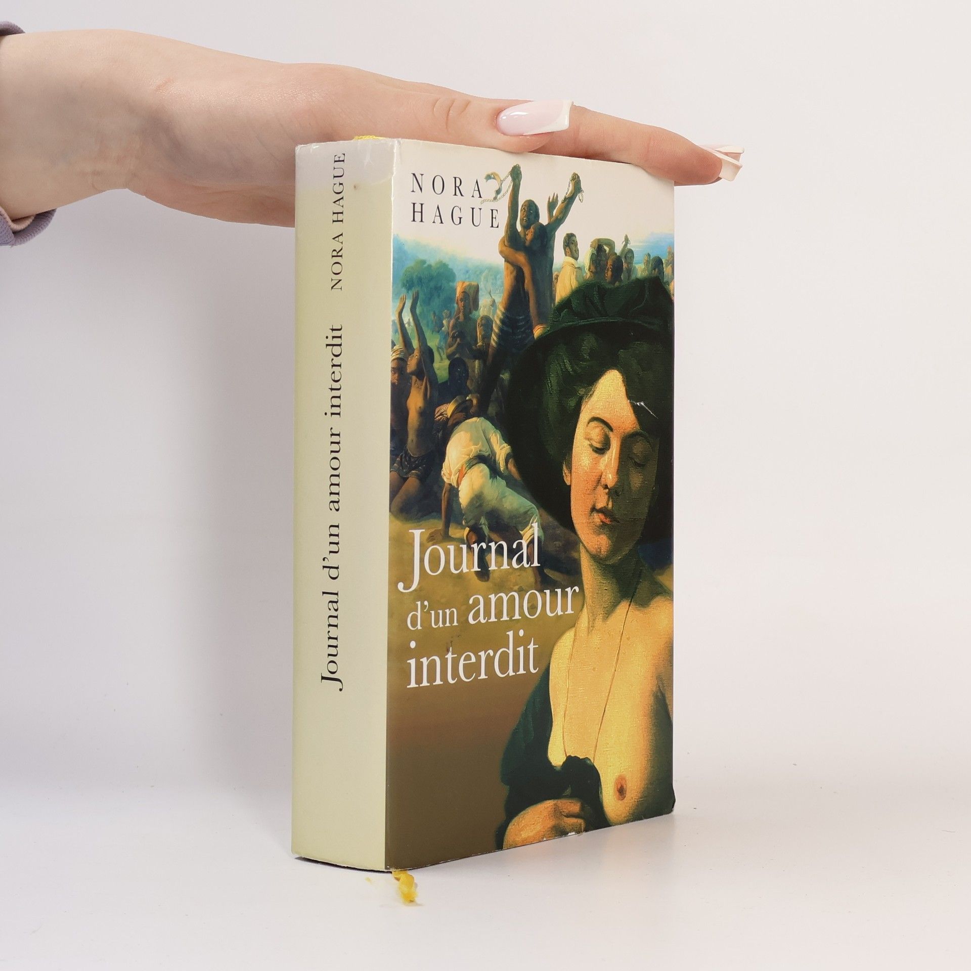 Nora Hague Journal d'un amour interdit