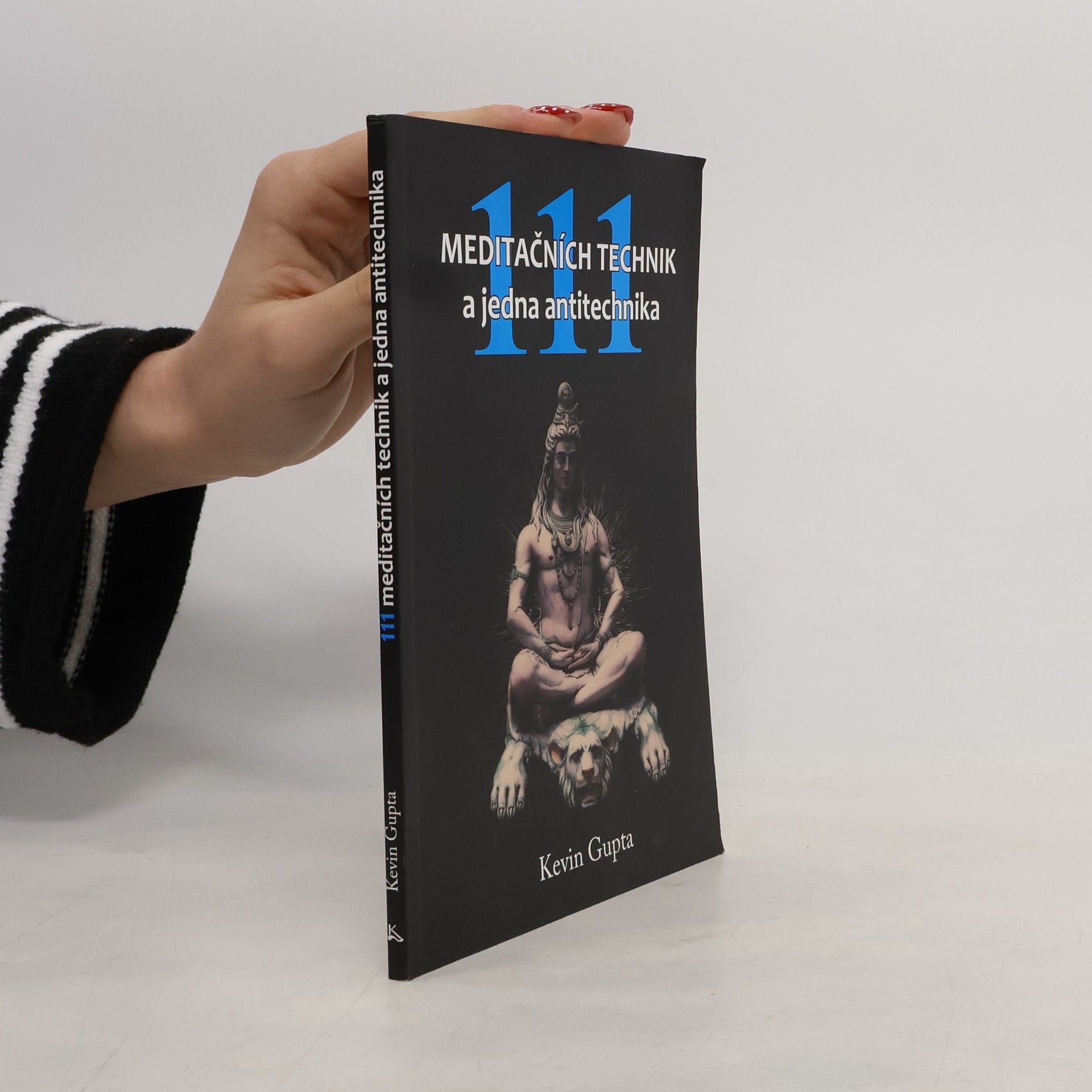 Kevin Gupta 111 meditačních technik a jedna antitechnika