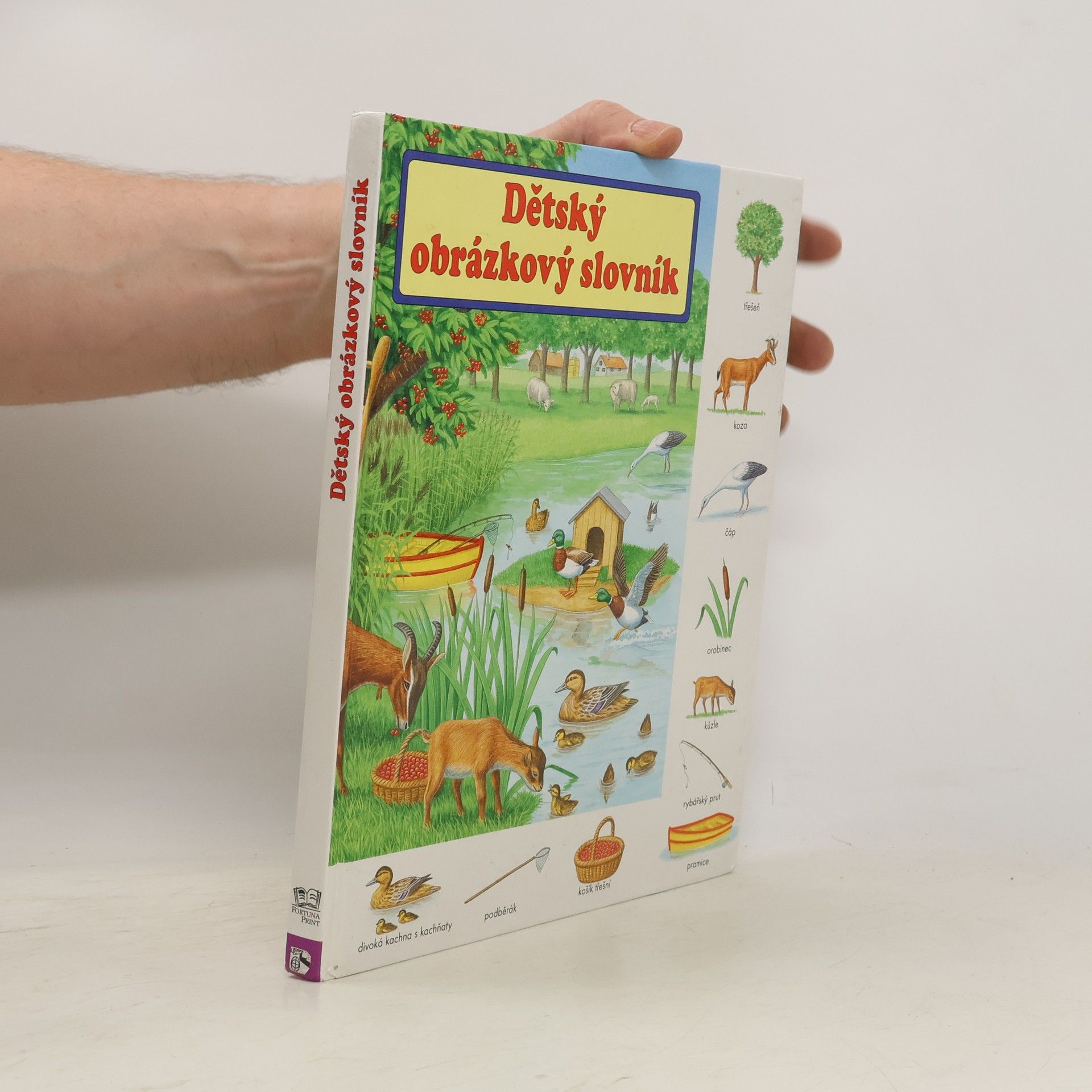 Gisela Fischer-Lingat Dětský obrázkový slovník