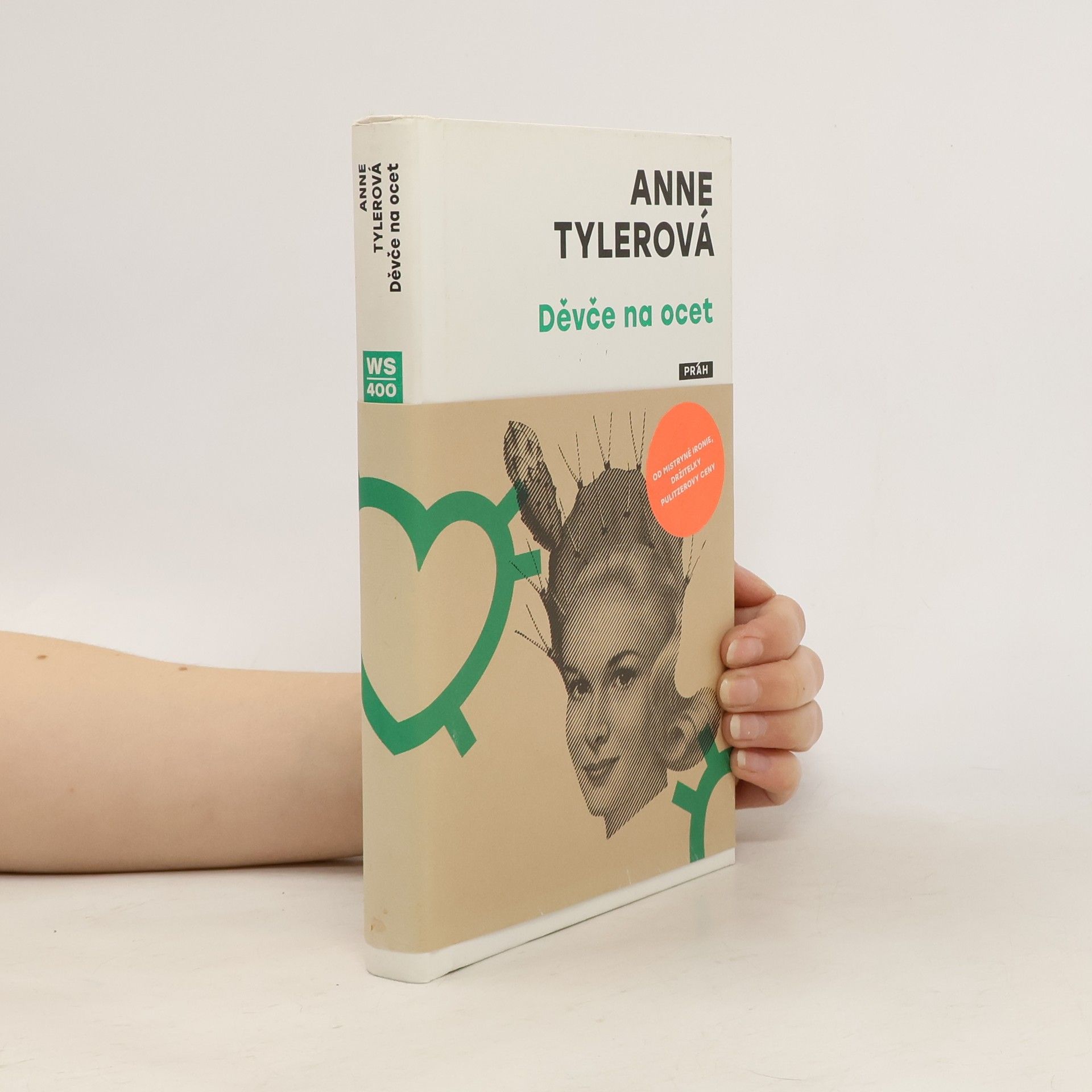 Anne Tyler Děvče na ocet