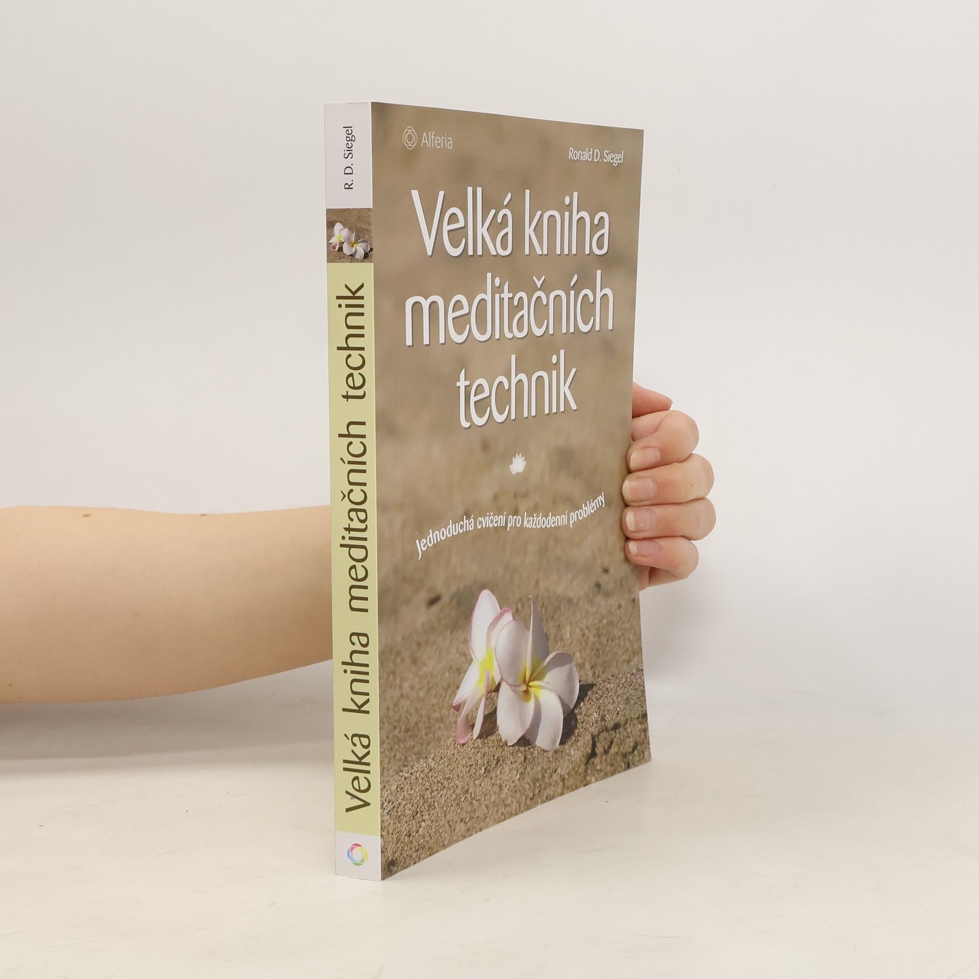 Velká kniha meditačních technik : Jednoduchá cvičení pro každodenní problémy