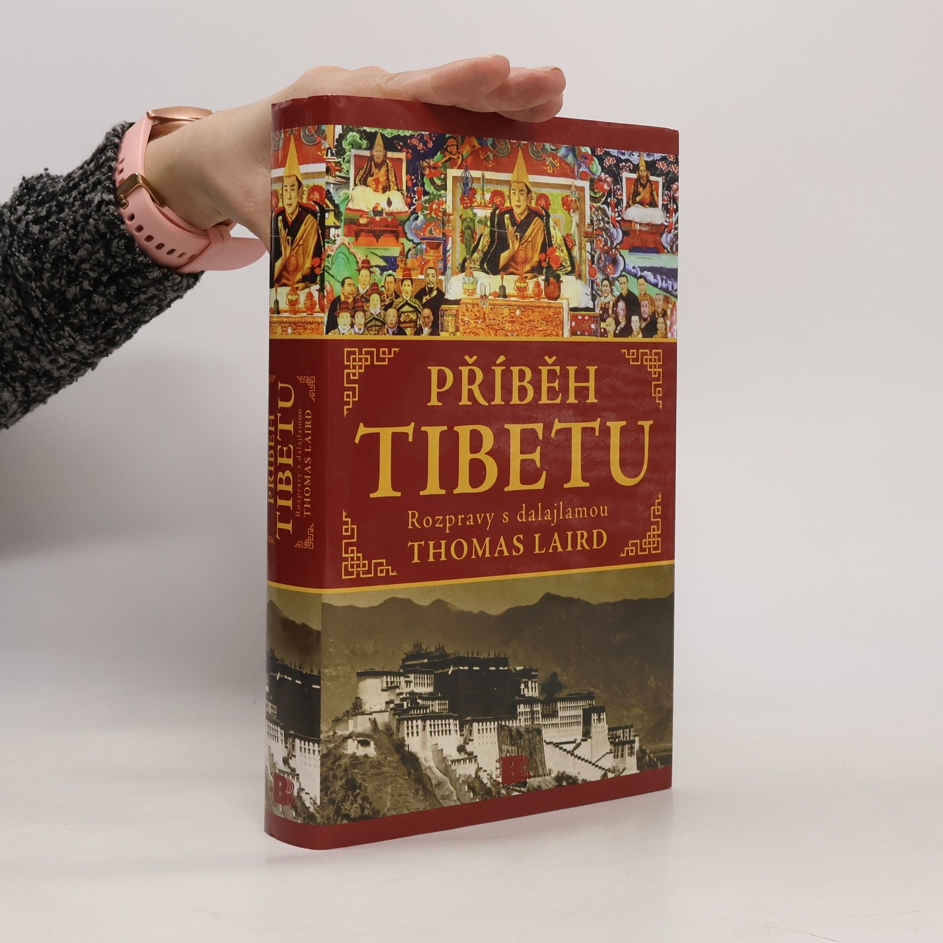 Thomas Laird Příběh Tibetu: Rozmluvy s dalajlamou