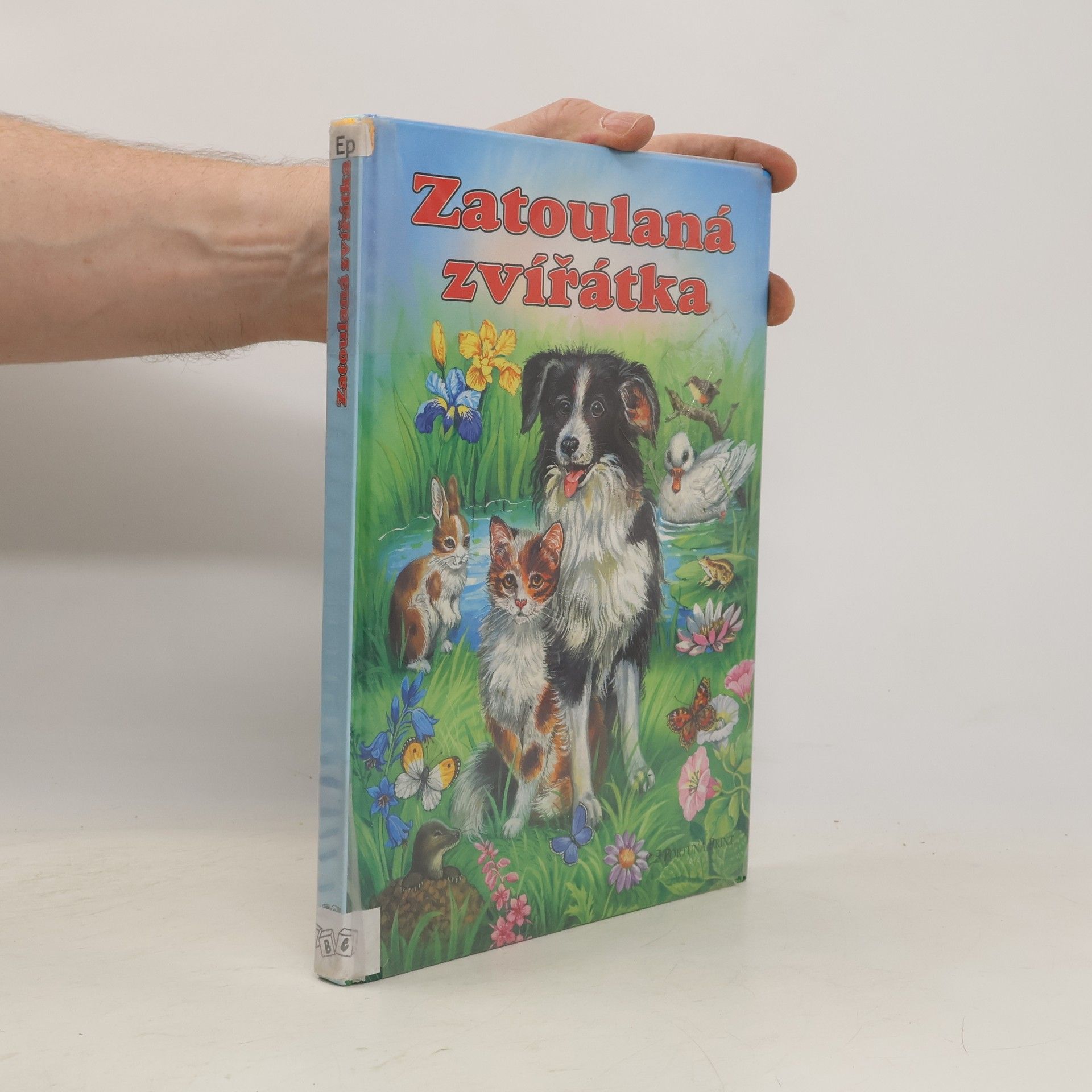 Katja Epes Zatoulaná zvířátka