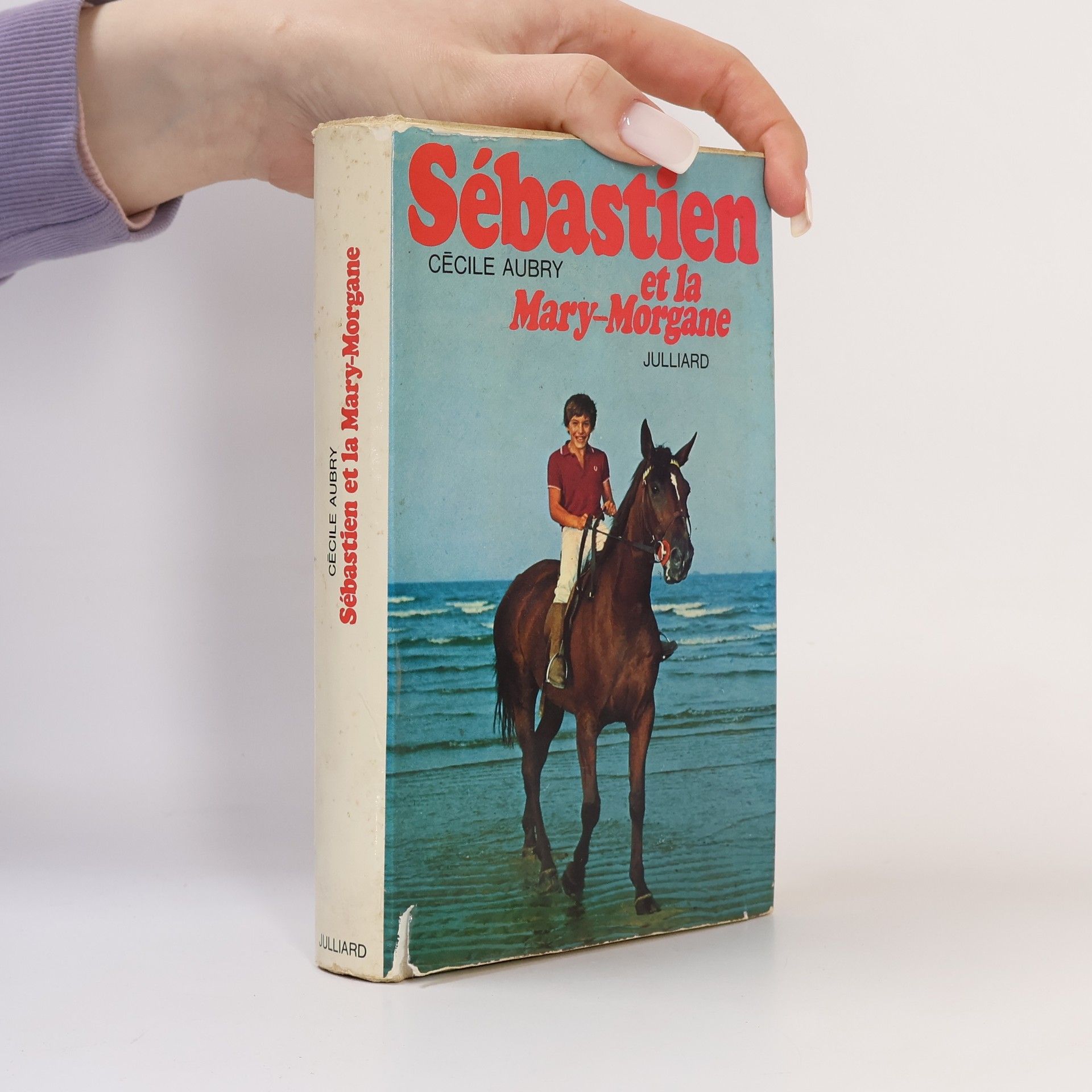 Sébastien et la Mary-Morgane