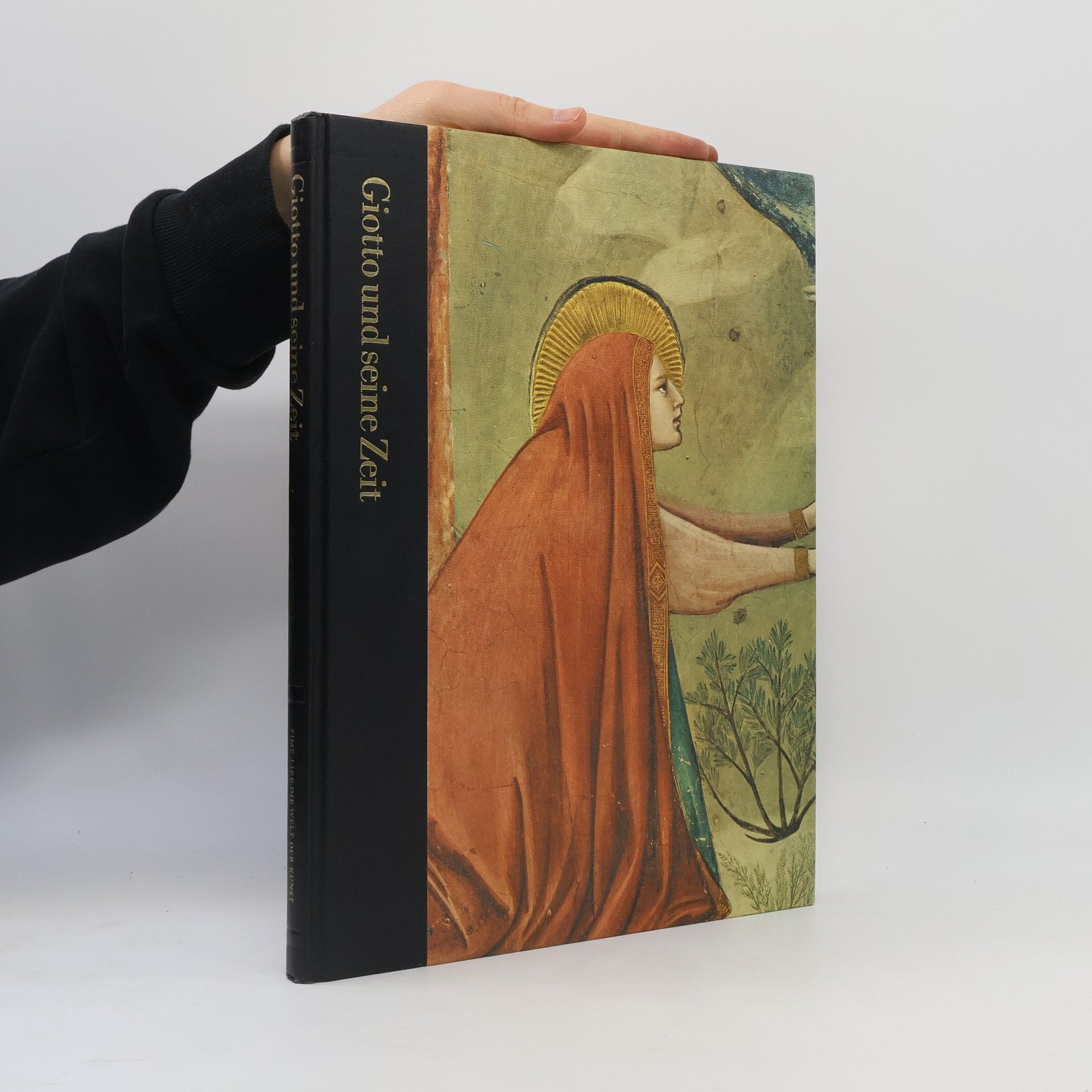 Sarel Eimerl Giotto und seine Zeit