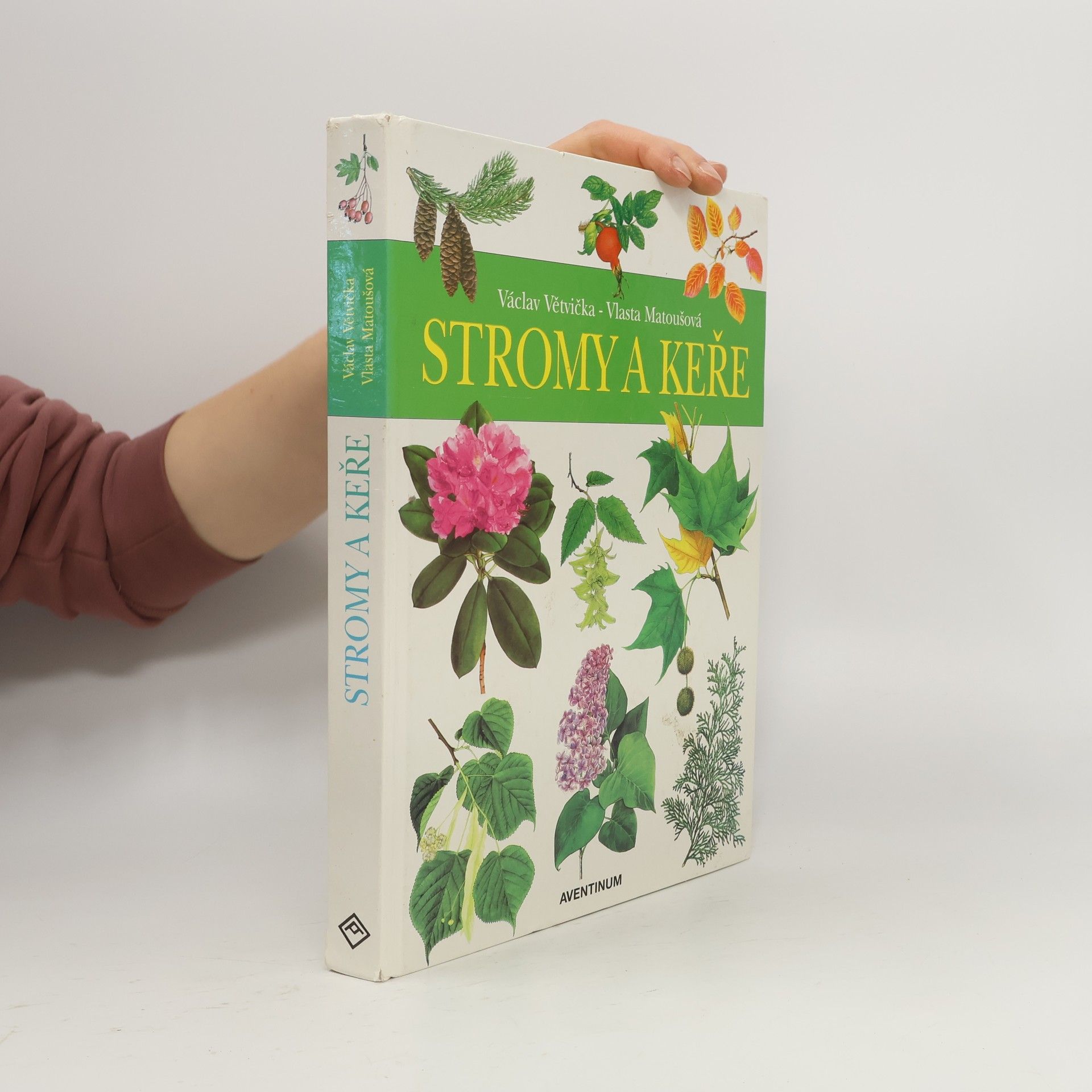 Václav Větvička Stromy a keře