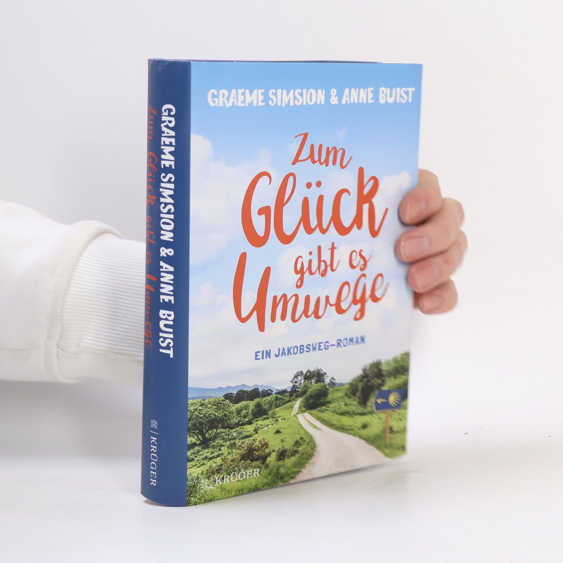 Graeme Simsion Zum Glück gibt es Umwege