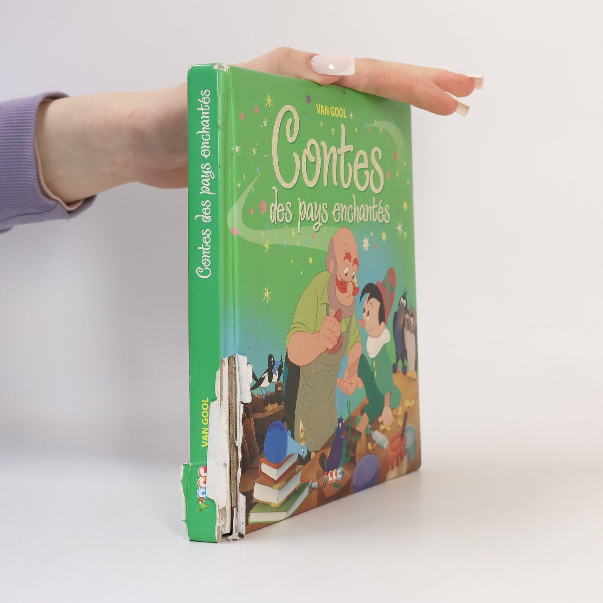 Contes des pays enchantés