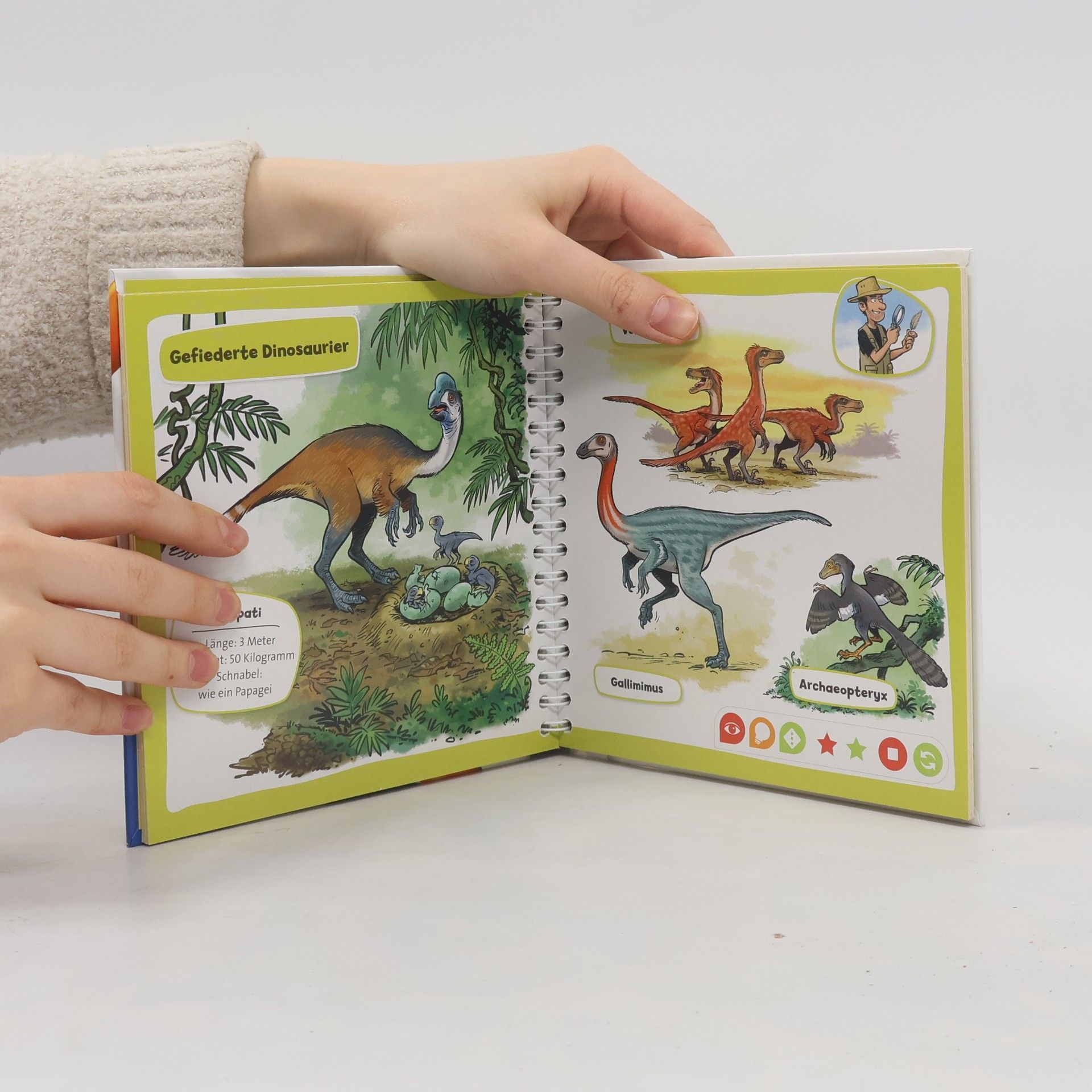 Auteurscollectief Pocket Wissen. Dinosaurier