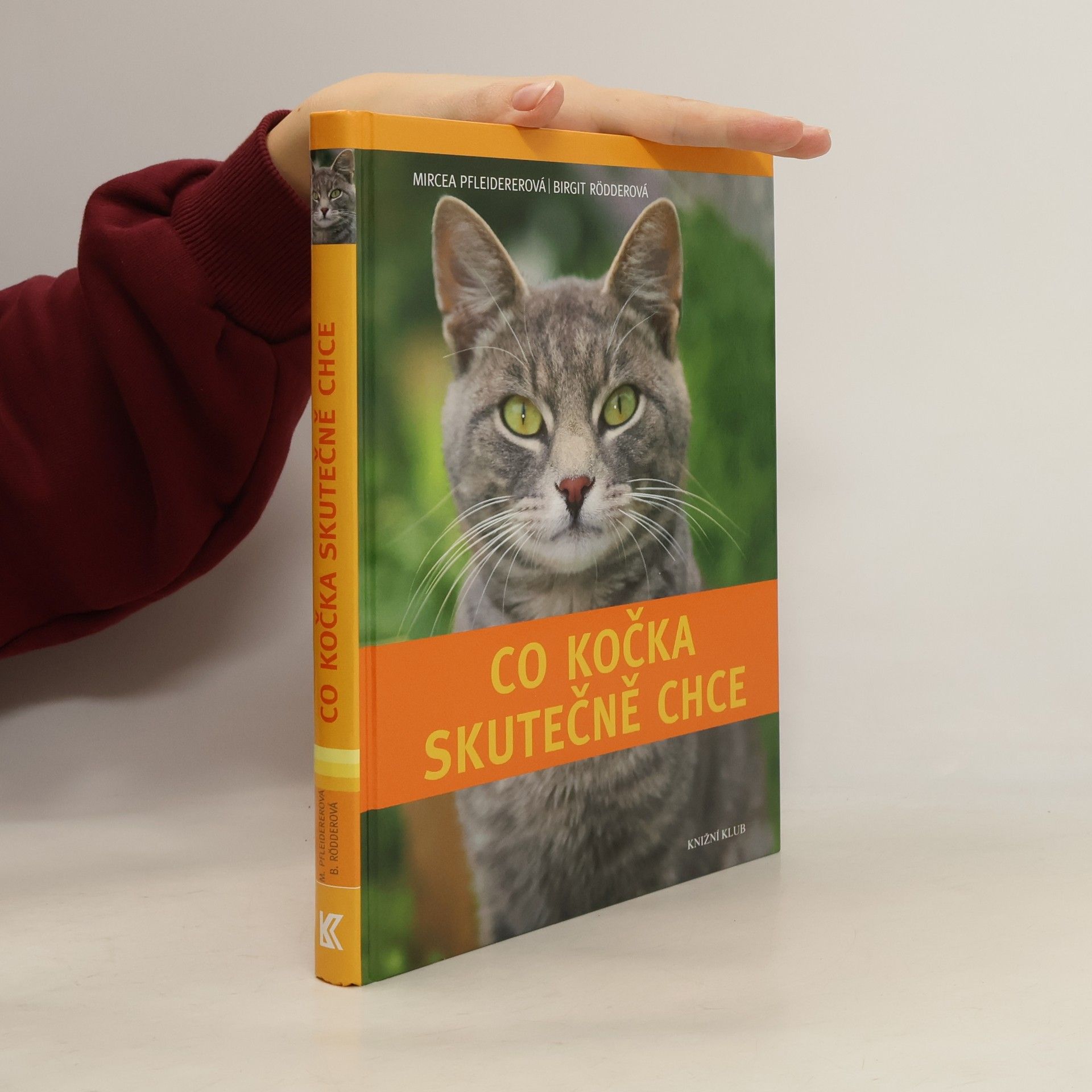 Mircea Pfleiderer-Gruber Co kočka skutečně chce