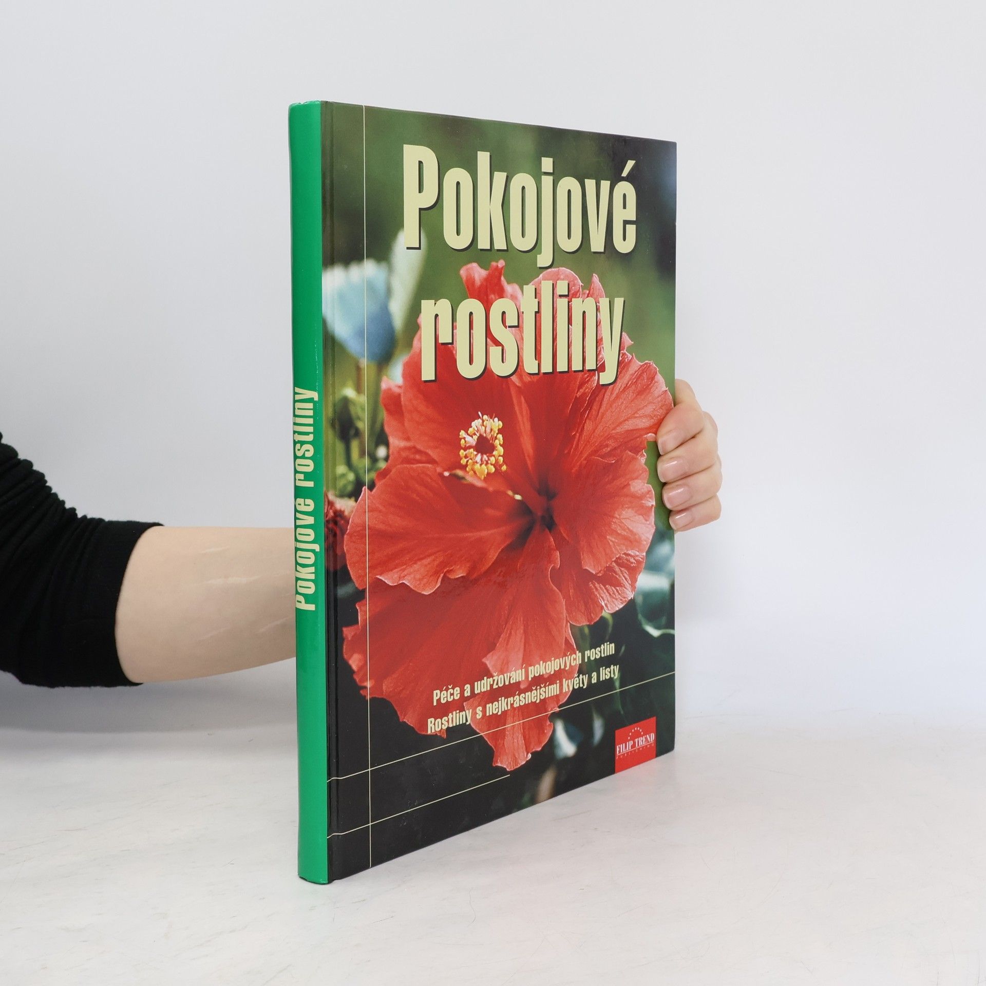 Jane Courtier Pokojové rostliny