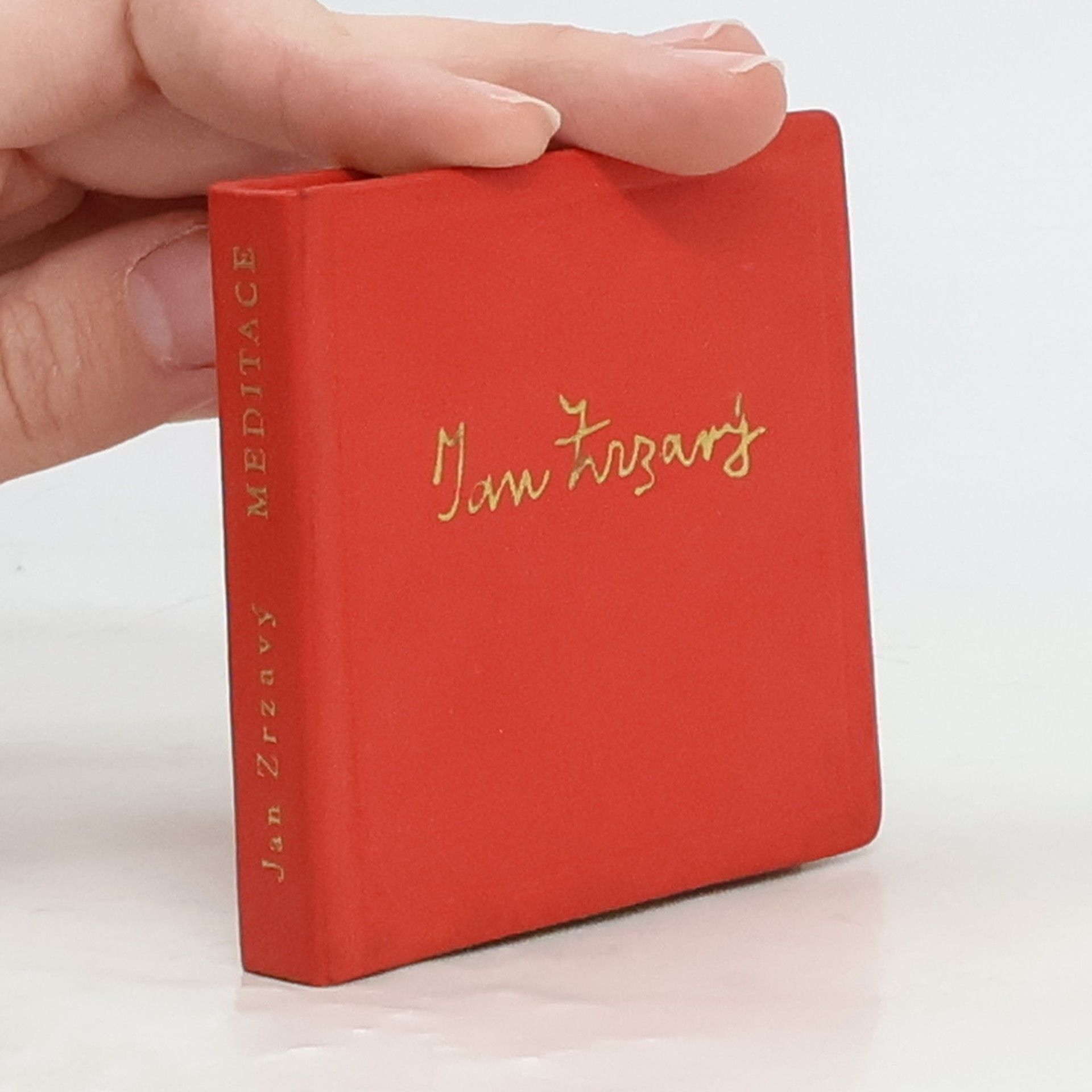 Jan Zrzavý Rozkoše, meditace a údolí smutku