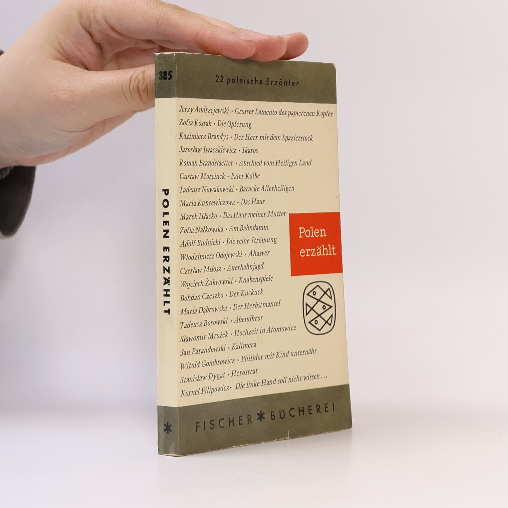 Autorenkollektiv Polen erzählt