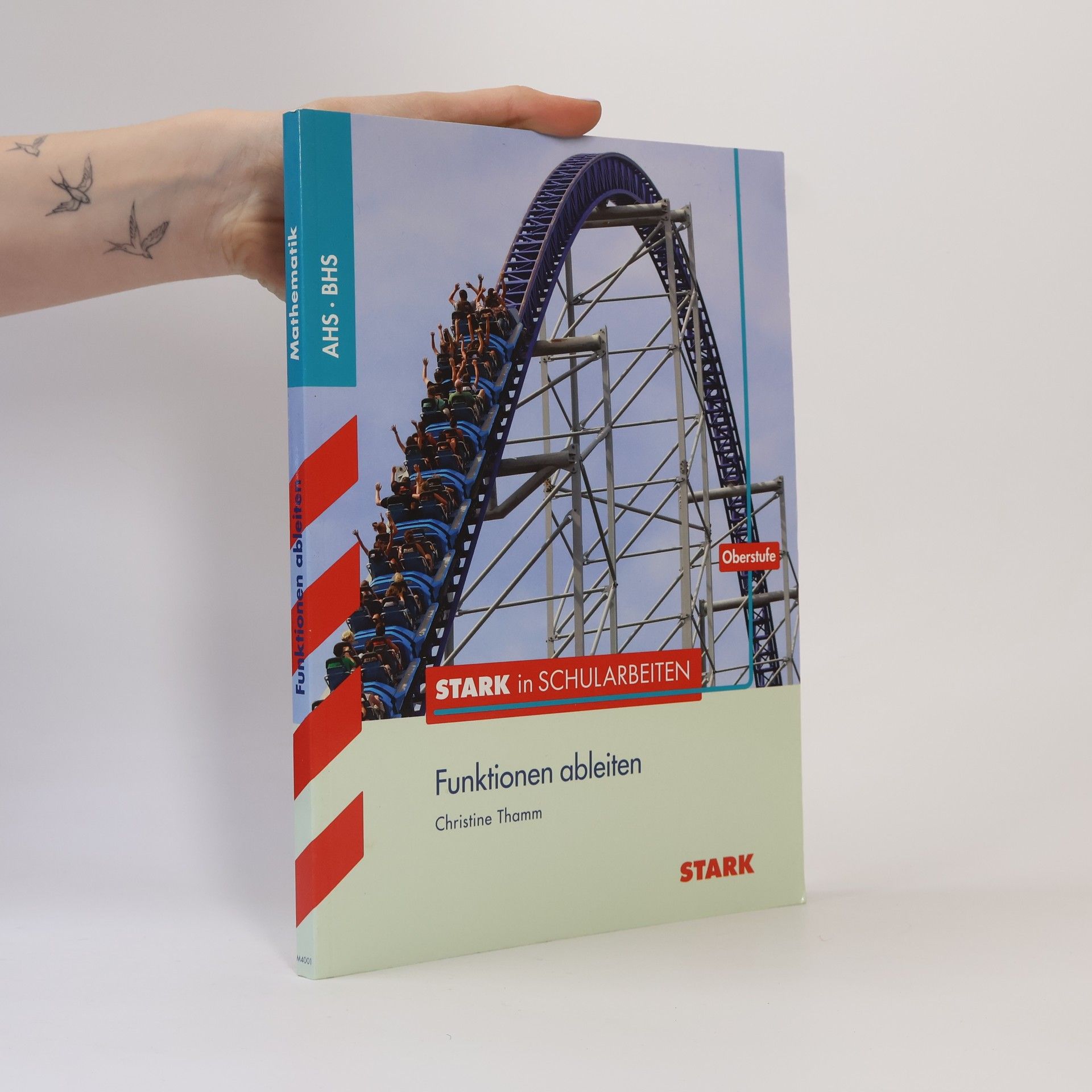 Christine Thamm Funktionen ableiten